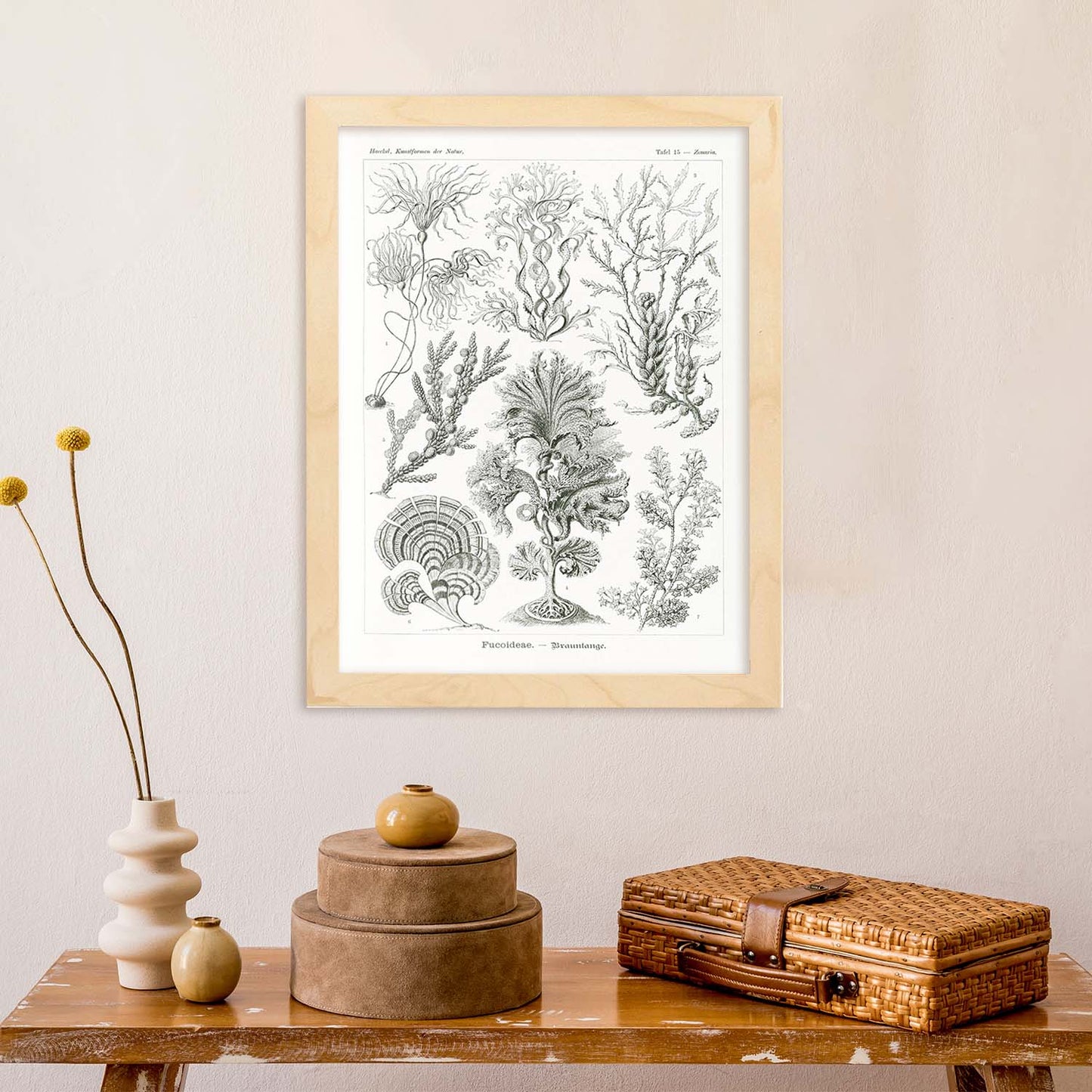 Lamina artistica decorativa con ilustración de Fucoideae estilo Vintage-Artwork-Nacnic-Nacnic Estudio SL