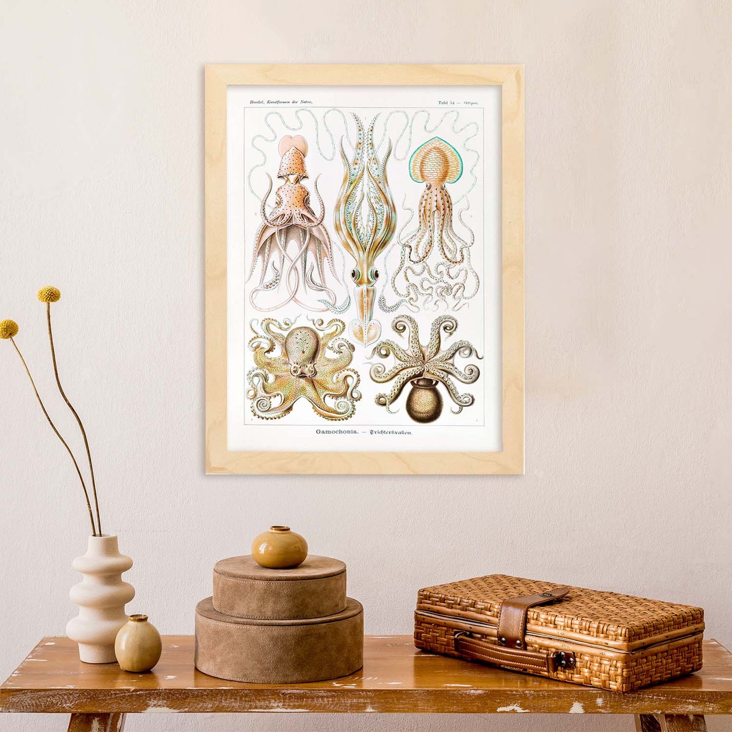 Lamina artistica decorativa con ilustración de Gamochonia estilo Vintage-Artwork-Nacnic-Nacnic Estudio SL