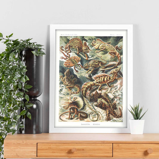 Lamina artistica decorativa con ilustración de Lacermilia estilo Vintage-Artwork-Nacnic-Nacnic Estudio SL