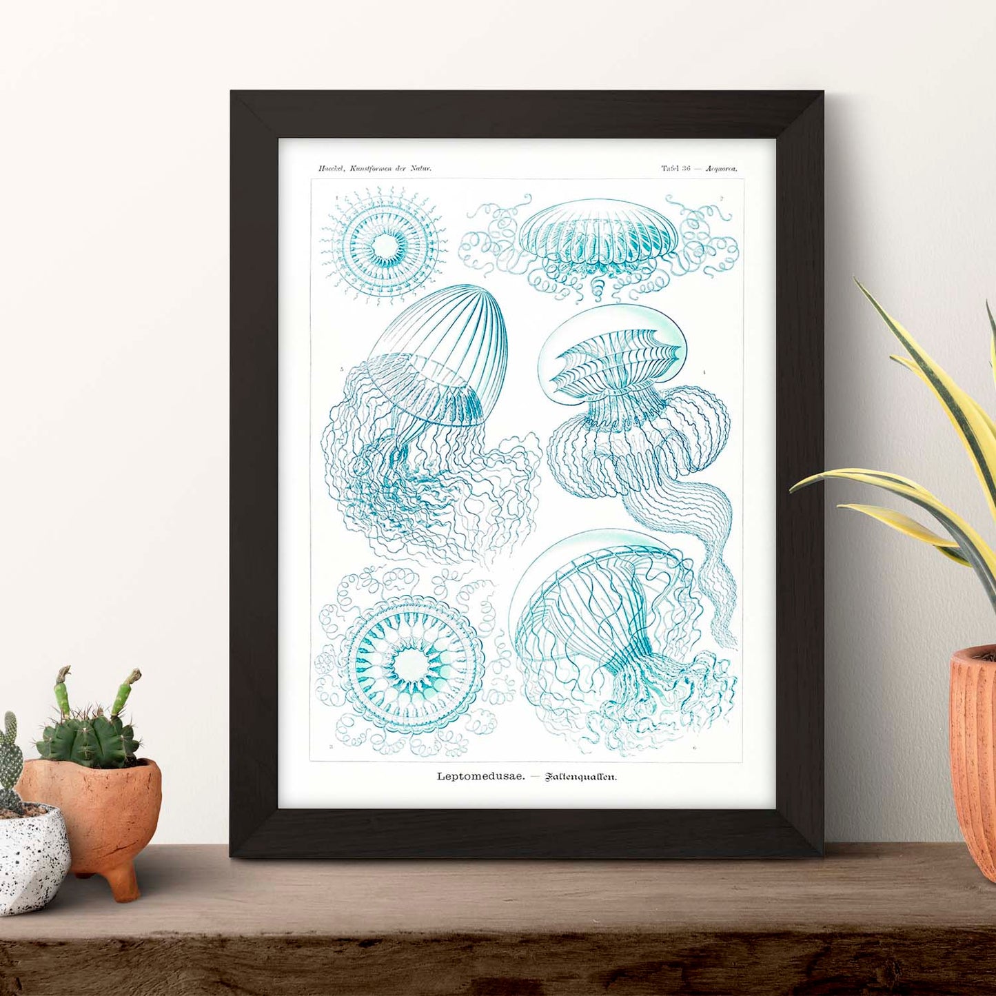 Lamina artistica decorativa con ilustración de Leptomedusae estilo Vintage-Artwork-Nacnic-Nacnic Estudio SL