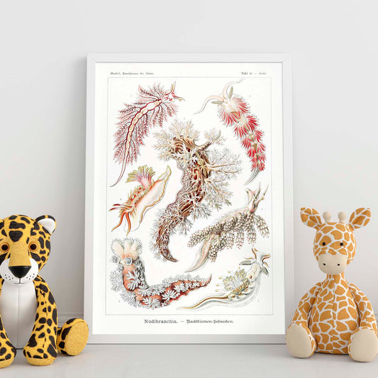 Lamina artistica decorativa con ilustración de Nudibranquia estilo Vintage-Artwork-Nacnic-Nacnic Estudio SL