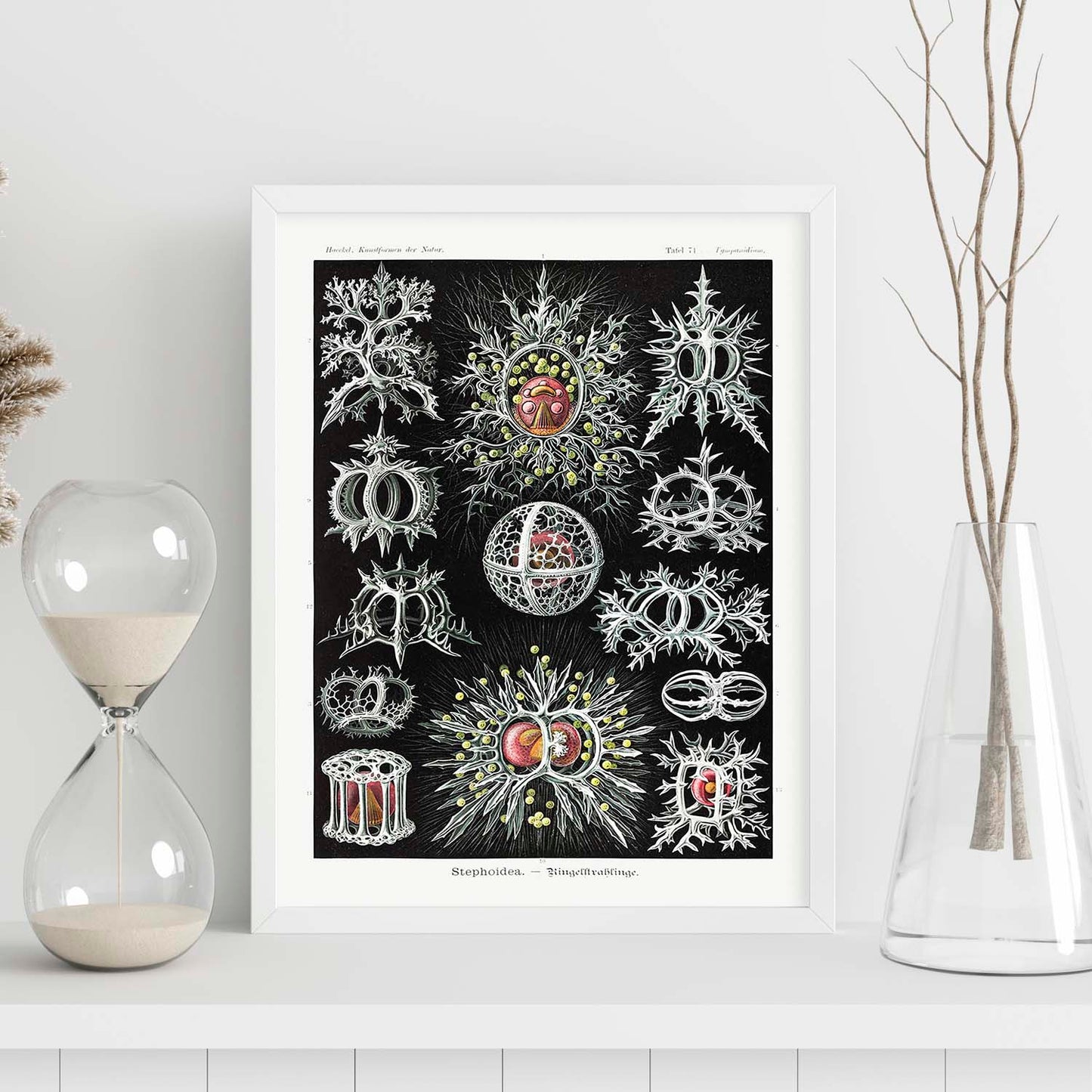 Lamina artistica decorativa con ilustración de STEPHOIDEA estilo Vintage-Artwork-Nacnic-Nacnic Estudio SL