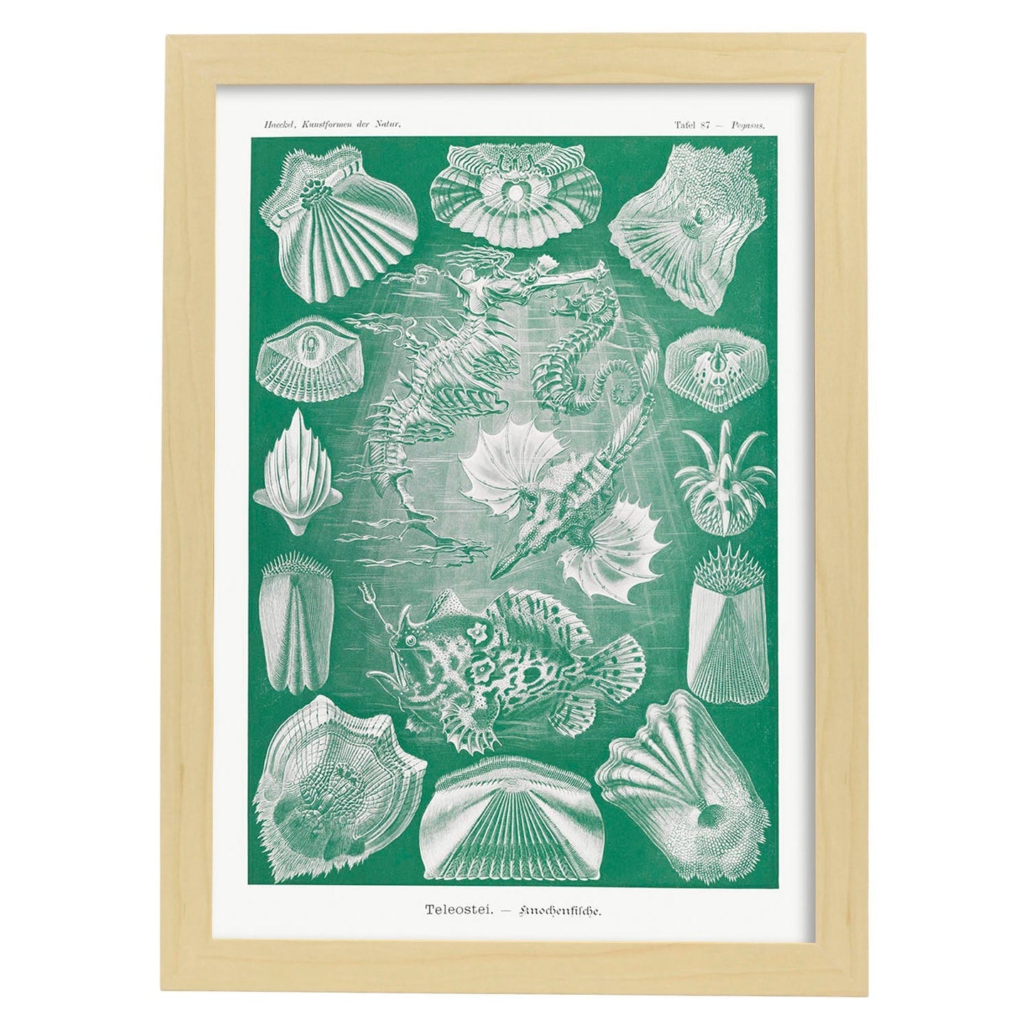 Lamina artistica decorativa con ilustración de Teleostei estilo Vintage-Artwork-Nacnic-A4-Marco Madera clara-Nacnic Estudio SL