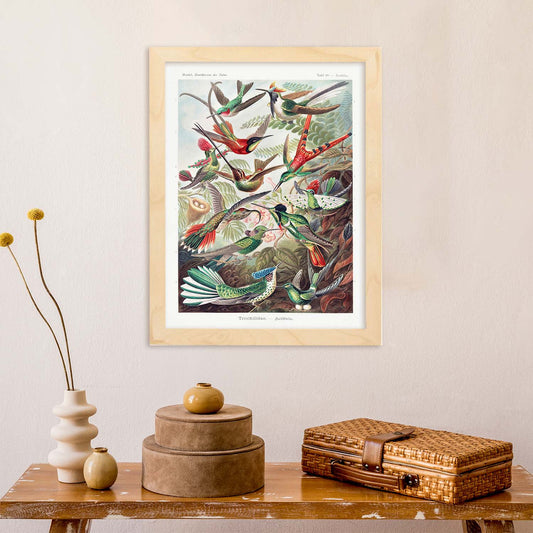 Lamina artistica decorativa con ilustración de Trochilidae estilo Vintage-Artwork-Nacnic-Nacnic Estudio SL