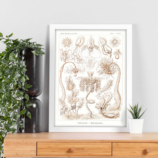 Lamina artistica decorativa con ilustración de Tubulariae estilo Vintage-Artwork-Nacnic-Nacnic Estudio SL