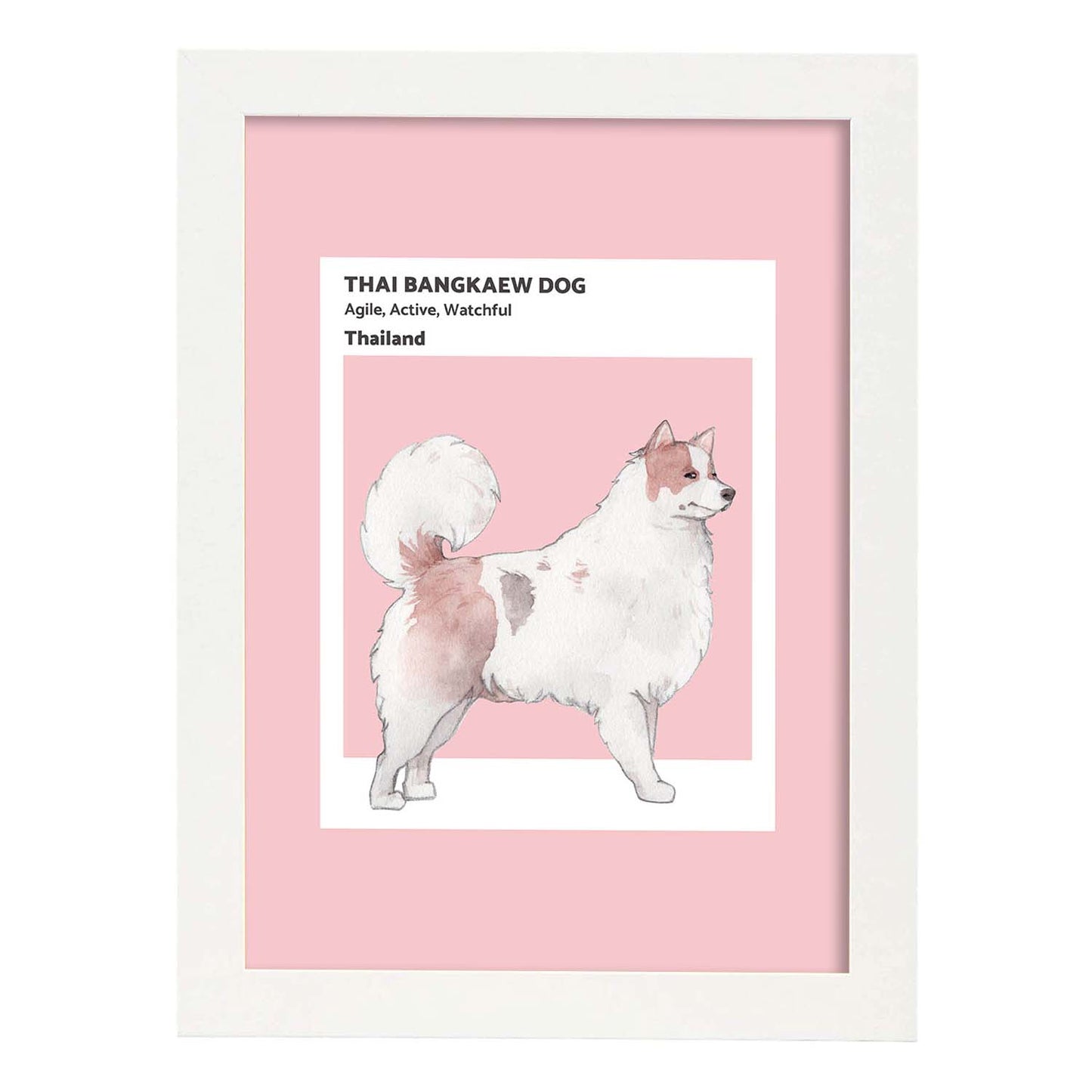 Lámina Bangkaew tailandés. Pósters con ilustraciones de razas de perro en tonos cálidos y pastel.-Artwork-Nacnic-A3-Marco Blanco-Nacnic Estudio SL