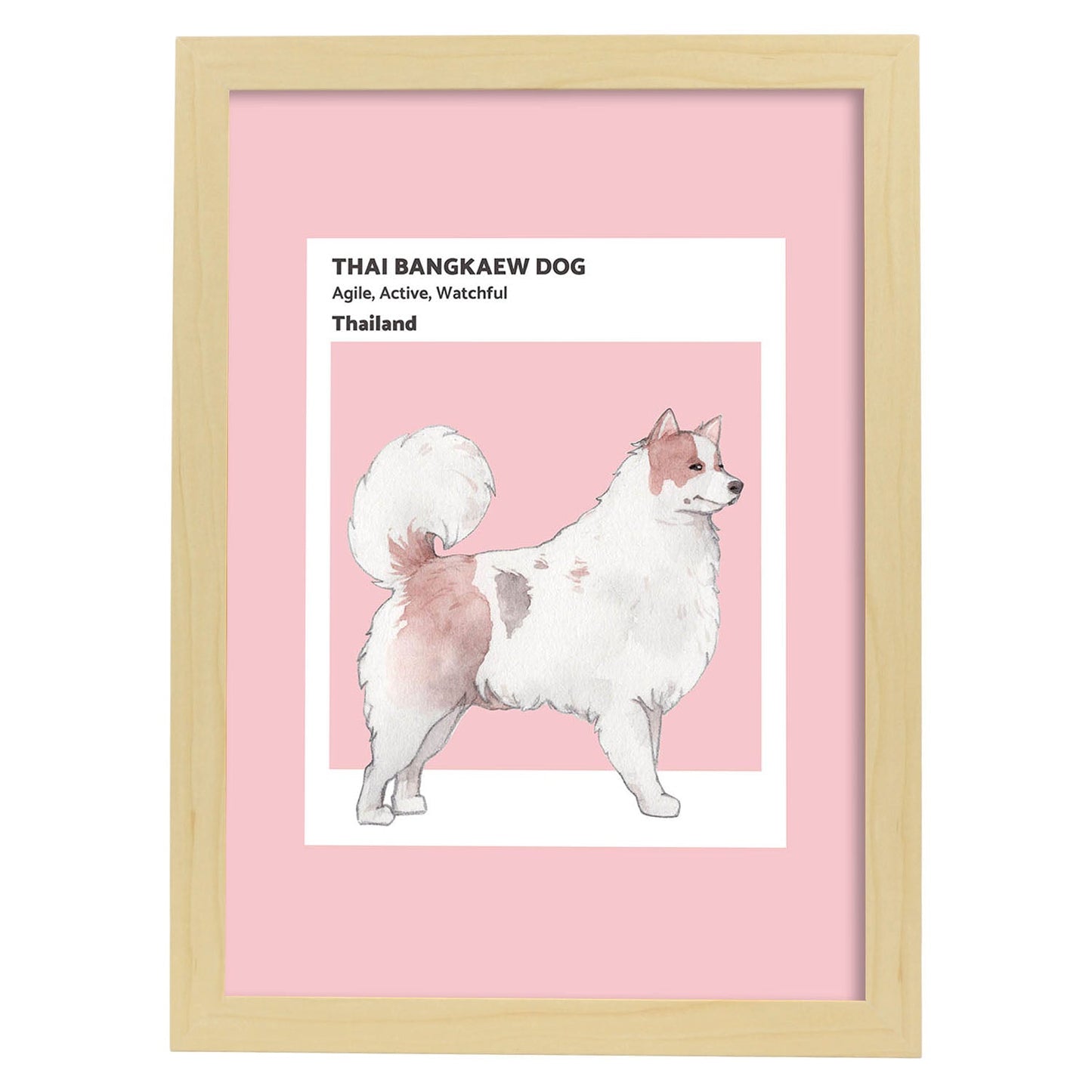 Lámina Bangkaew tailandés. Pósters con ilustraciones de razas de perro en tonos cálidos y pastel.-Artwork-Nacnic-A3-Marco Madera clara-Nacnic Estudio SL