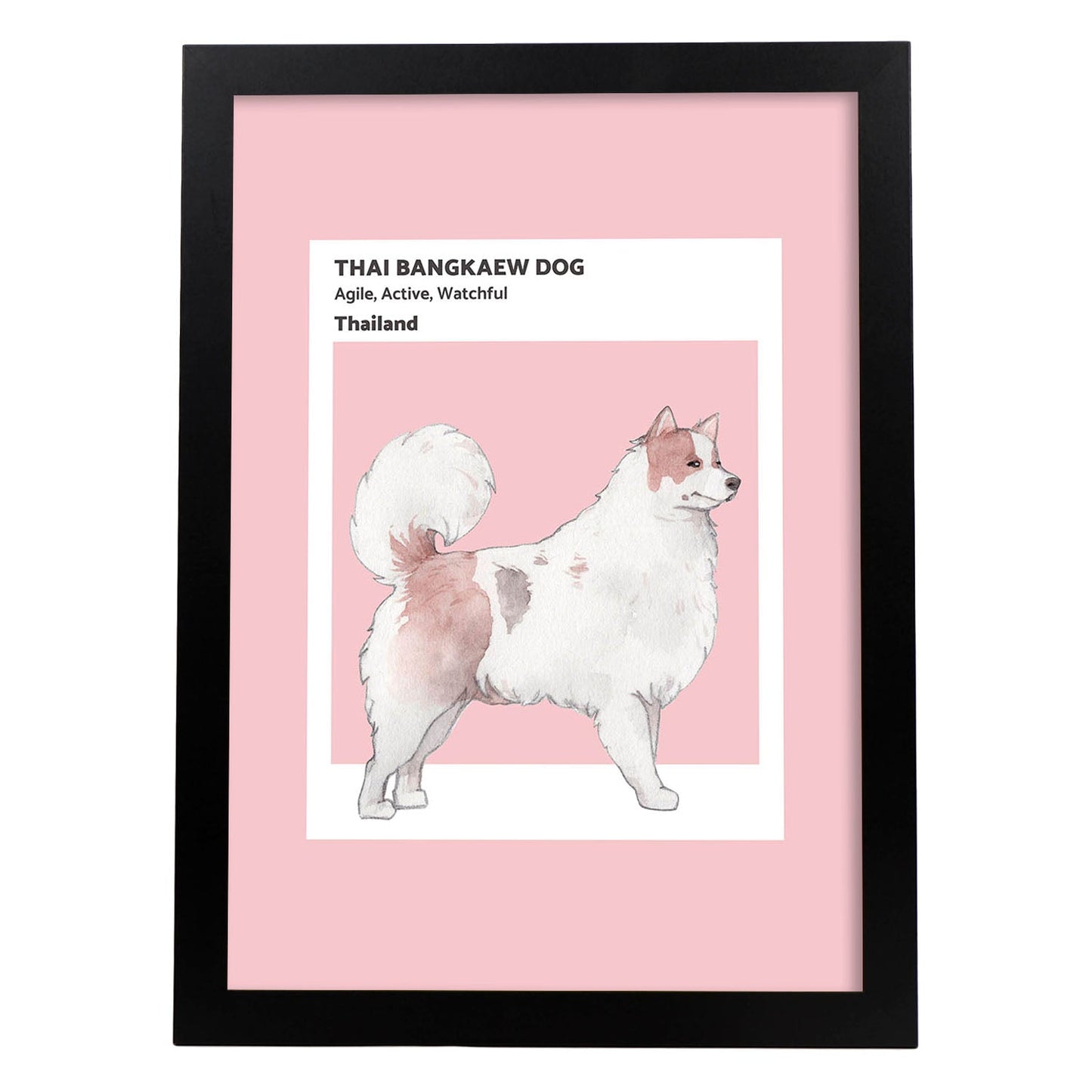 Lámina Bangkaew tailandés. Pósters con ilustraciones de razas de perro en tonos cálidos y pastel.-Artwork-Nacnic-A3-Marco Negro-Nacnic Estudio SL