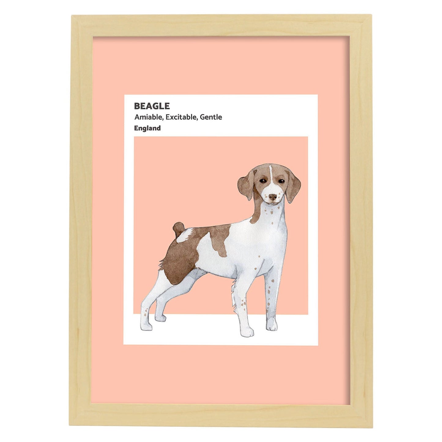 Lámina Beagle. Pósters con ilustraciones de razas de perro en tonos cálidos y pastel.-Artwork-Nacnic-A4-Marco Madera clara-Nacnic Estudio SL