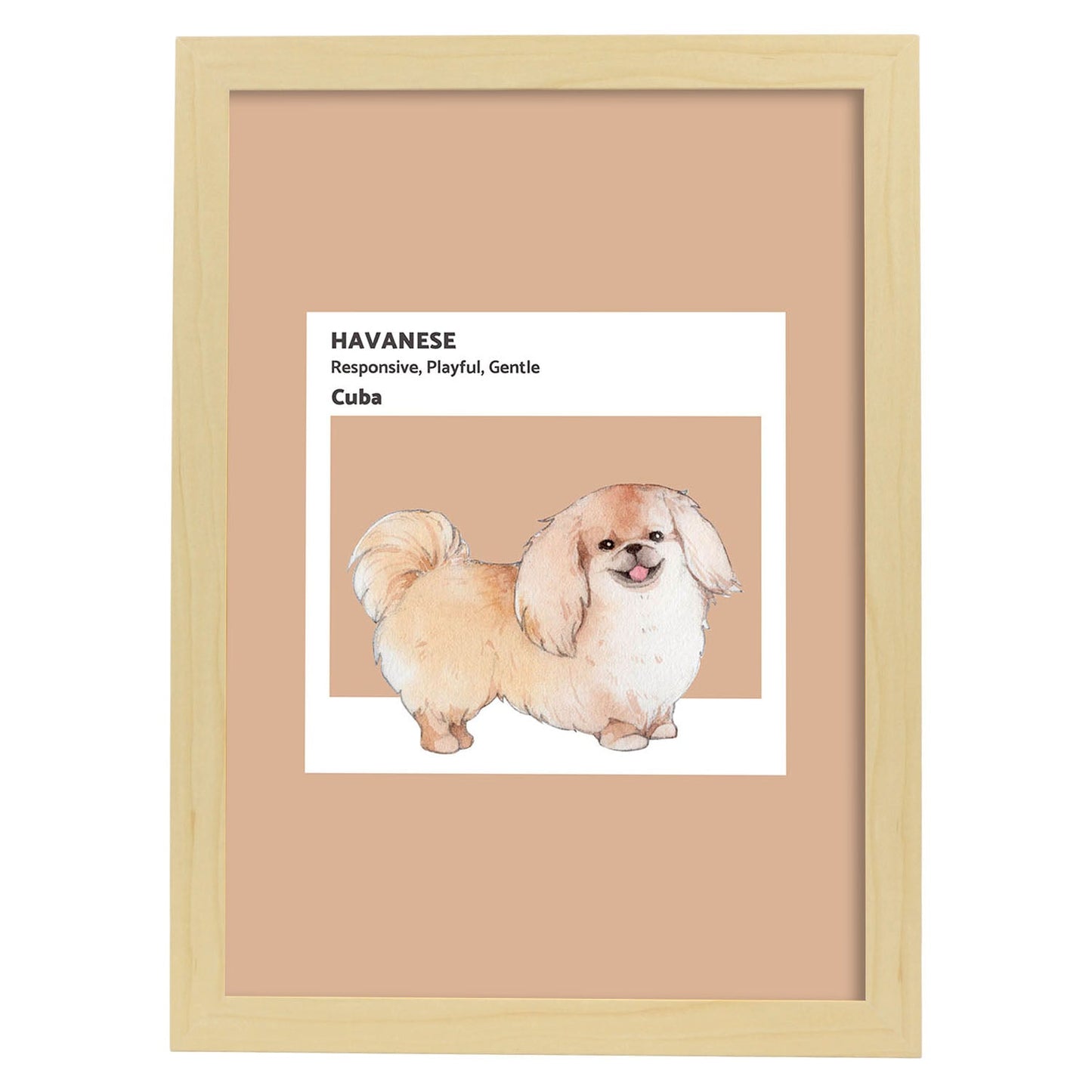 Lámina Bichón Habanero. Pósters con ilustraciones de razas de perro en tonos cálidos y pastel.-Artwork-Nacnic-A4-Marco Madera clara-Nacnic Estudio SL
