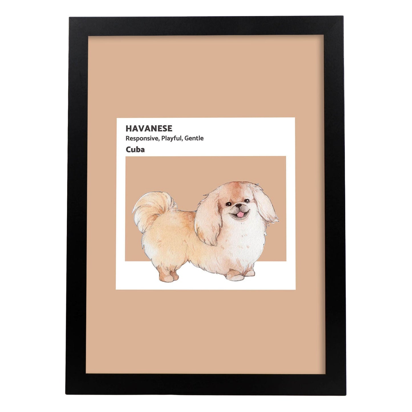 Lámina Bichón Habanero. Pósters con ilustraciones de razas de perro en tonos cálidos y pastel.-Artwork-Nacnic-A4-Marco Negro-Nacnic Estudio SL