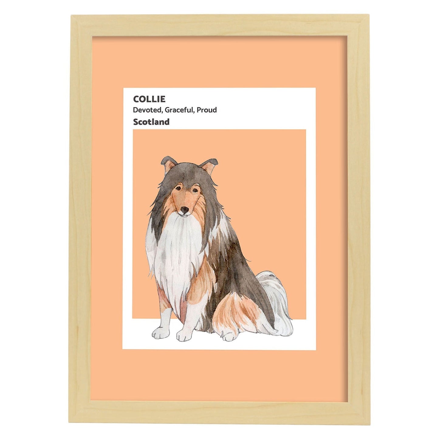Lámina Border Collie. Pósters con ilustraciones de razas de perro en tonos cálidos y pastel.-Artwork-Nacnic-A4-Marco Madera clara-Nacnic Estudio SL