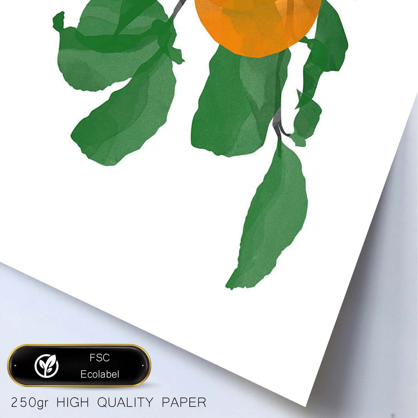 Lámina Botánica acuarela 10. Pósters con ilustraciones de plantas y flores en estilo acuarela.-Artwork-Nacnic-Nacnic Estudio SL