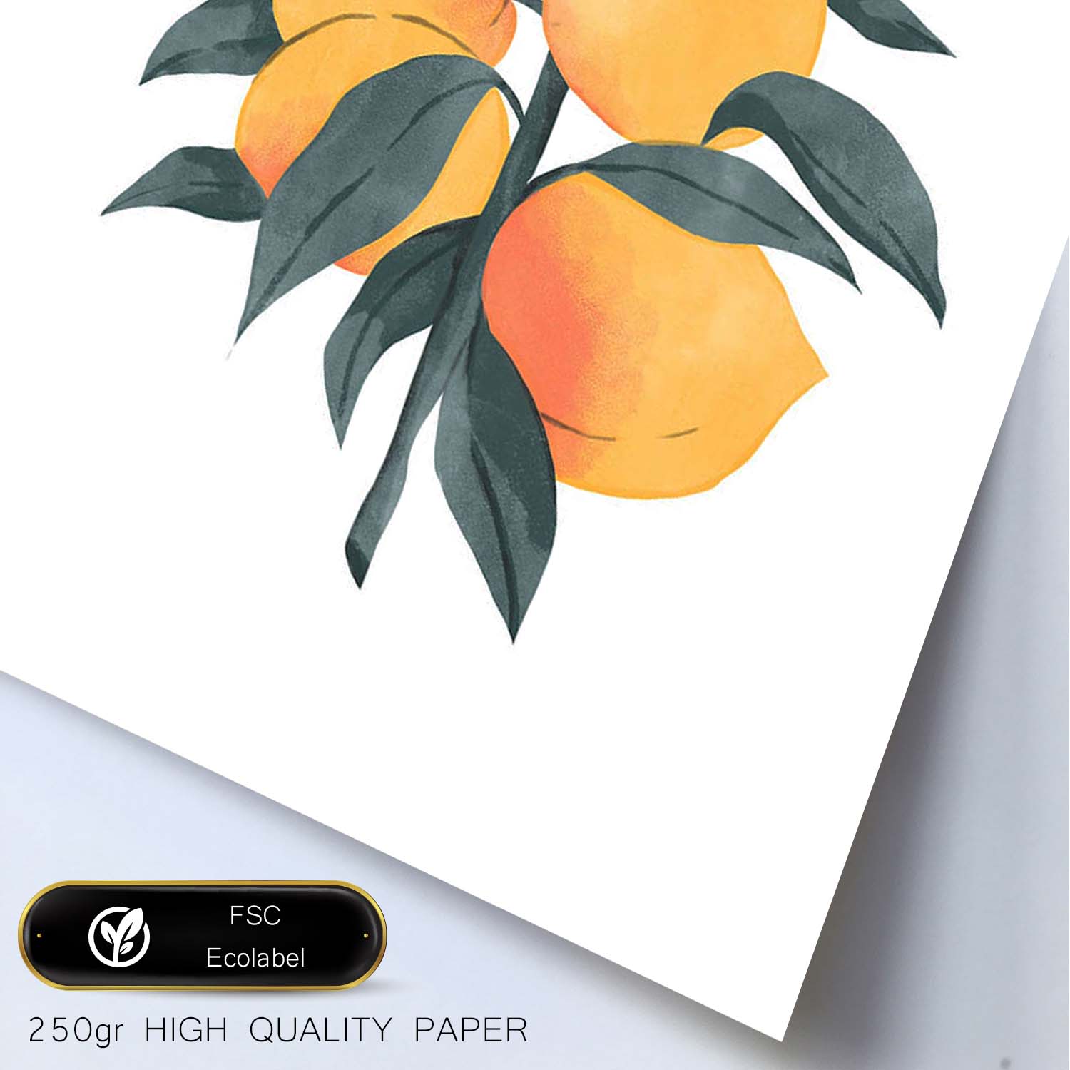 Lámina Botánica acuarela 5. Pósters con ilustraciones de plantas y flores en estilo acuarela.-Artwork-Nacnic-Nacnic Estudio SL