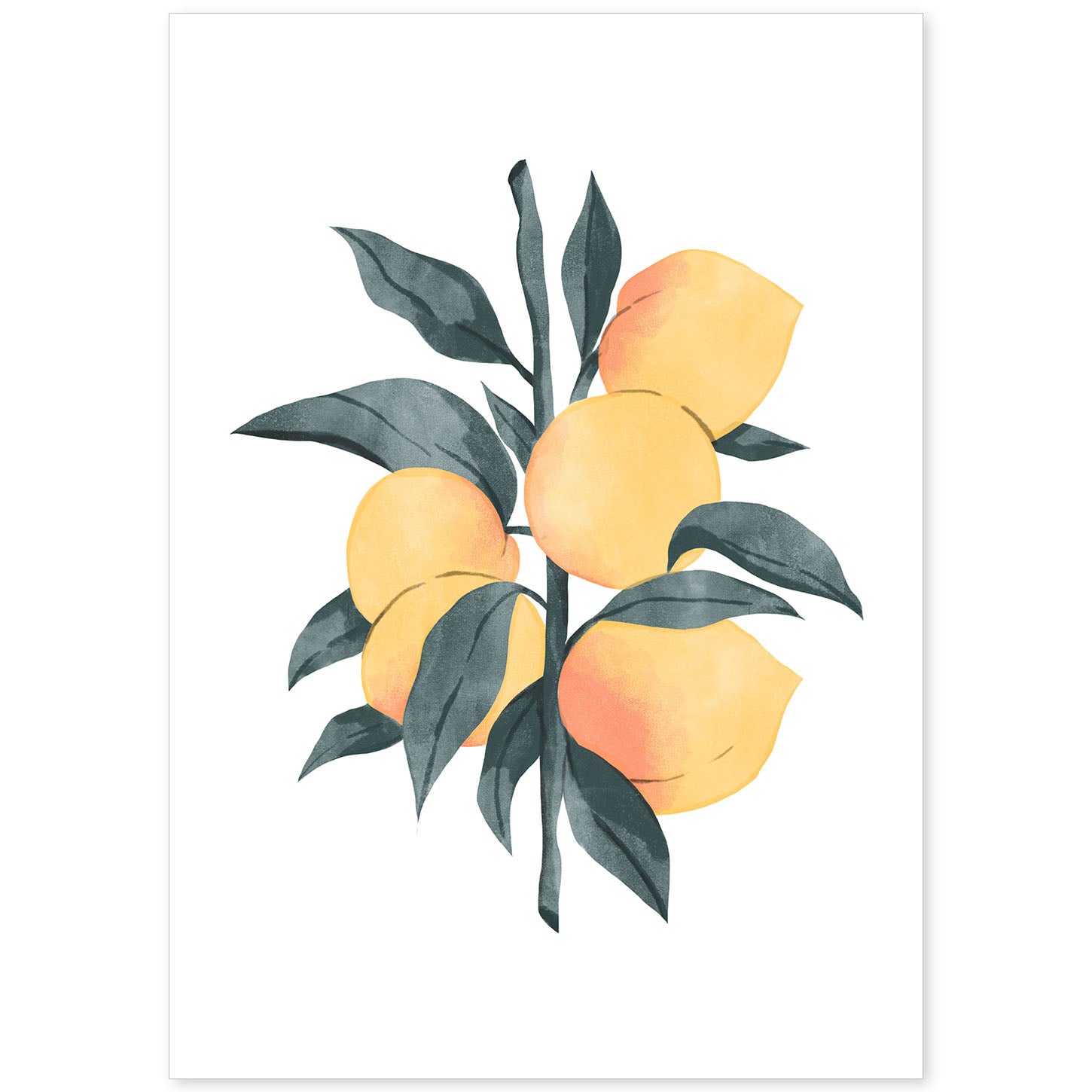 Lámina Botánica acuarela 5. Pósters con ilustraciones de plantas y flores en estilo acuarela.-Artwork-Nacnic-A4-Sin marco-Nacnic Estudio SL