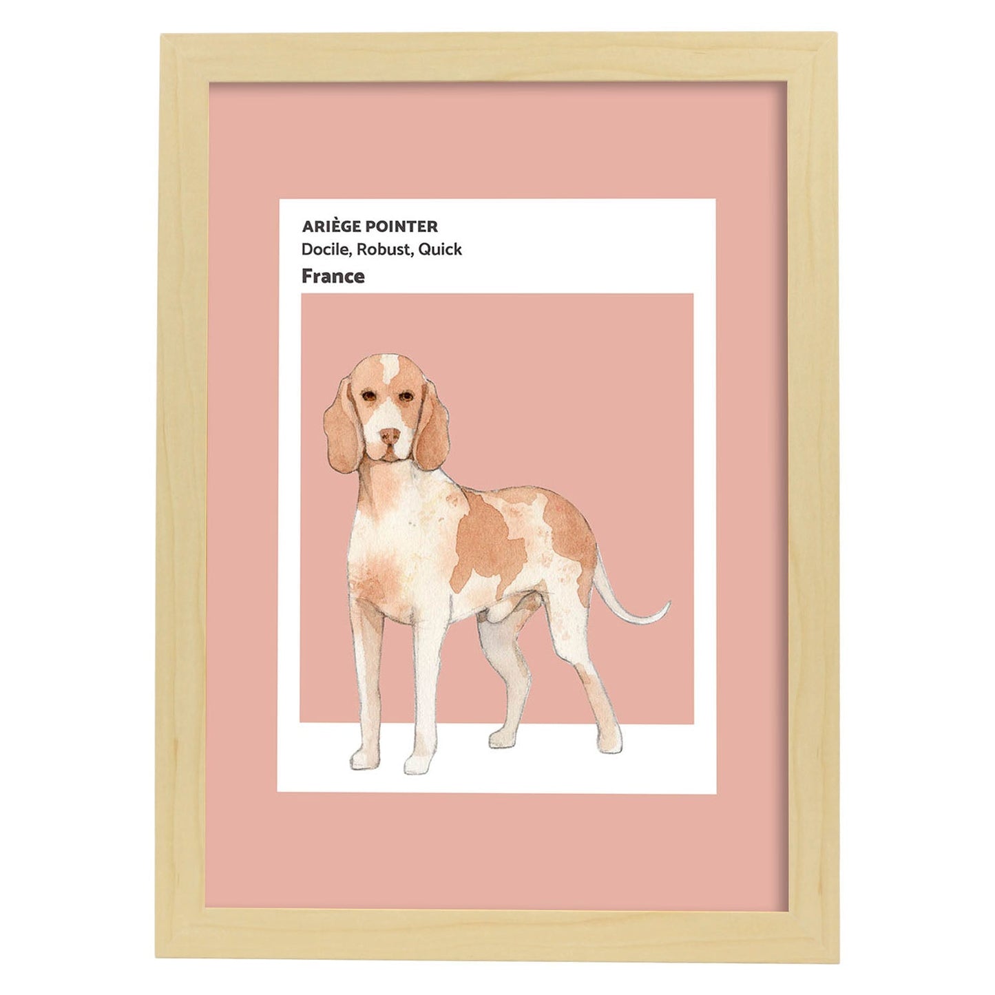 Lámina Braco de Ariège. Pósters con ilustraciones de razas de perro en tonos cálidos y pastel.-Artwork-Nacnic-A4-Marco Madera clara-Nacnic Estudio SL