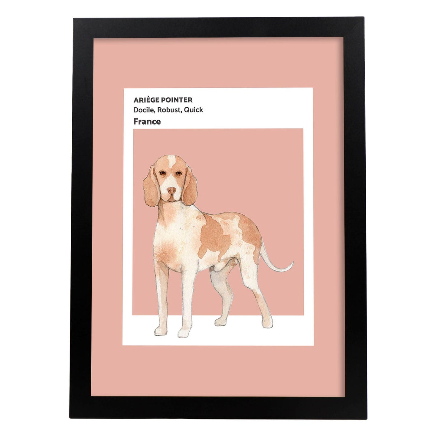 Lámina Braco de Ariège. Pósters con ilustraciones de razas de perro en tonos cálidos y pastel.-Artwork-Nacnic-A4-Marco Negro-Nacnic Estudio SL