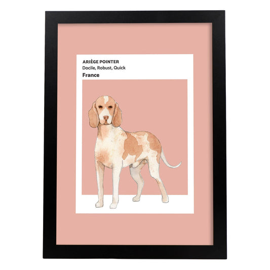 Lámina Braco de Ariège. Pósters con ilustraciones de razas de perro en tonos cálidos y pastel.-Artwork-Nacnic-A4-Marco Negro-Nacnic Estudio SL