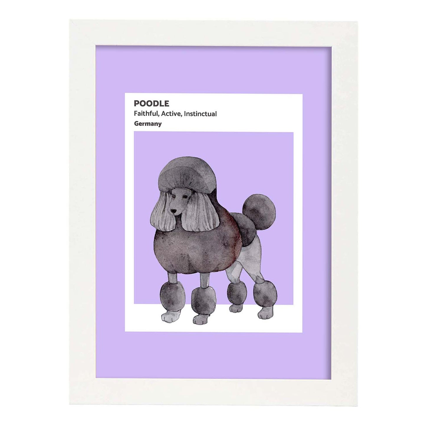 Lámina Caniche. Pósters con ilustraciones de razas de perro en tonos cálidos y pastel.-Artwork-Nacnic-A3-Marco Blanco-Nacnic Estudio SL