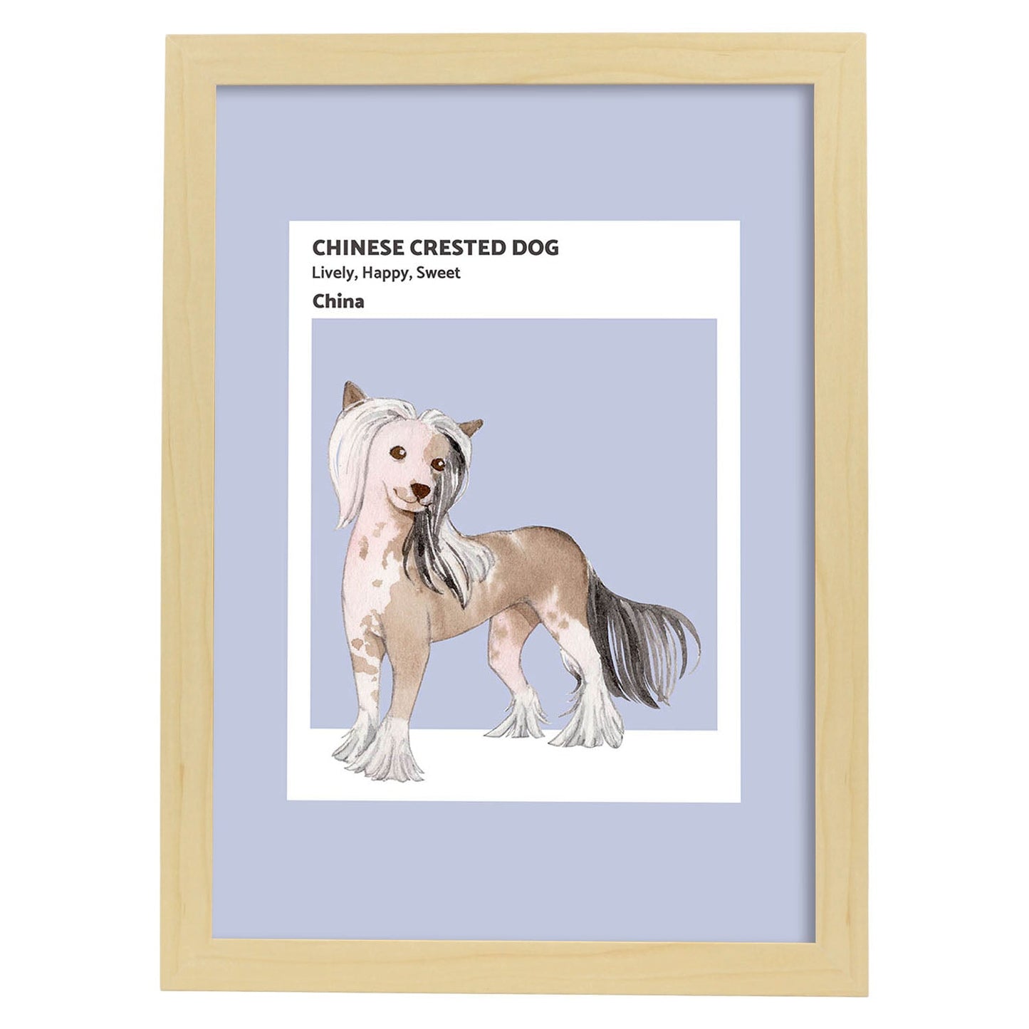 Lámina Crestado chino. Pósters con ilustraciones de razas de perro en tonos cálidos y pastel.-Artwork-Nacnic-A4-Marco Madera clara-Nacnic Estudio SL