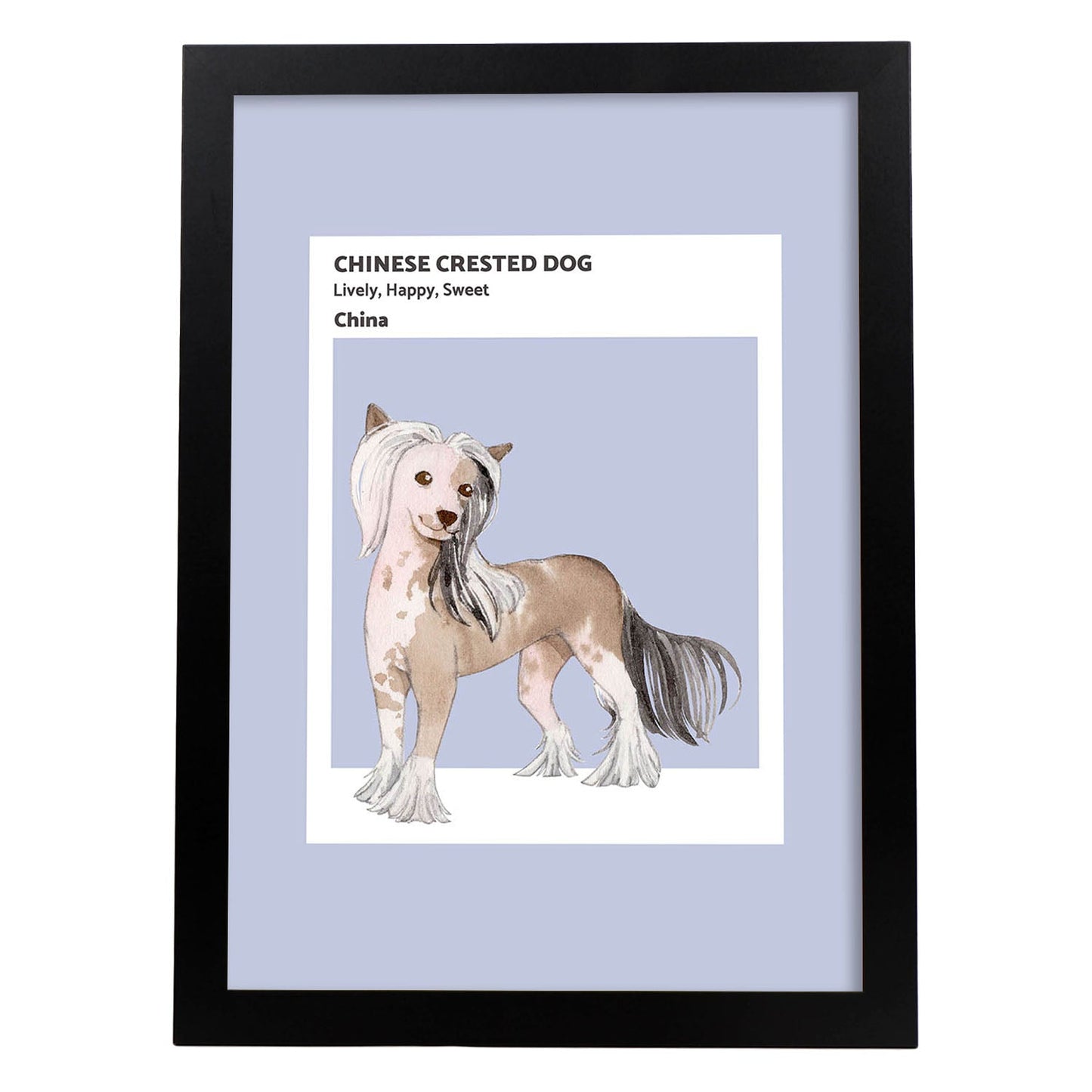 Lámina Crestado chino. Pósters con ilustraciones de razas de perro en tonos cálidos y pastel.-Artwork-Nacnic-A4-Marco Negro-Nacnic Estudio SL