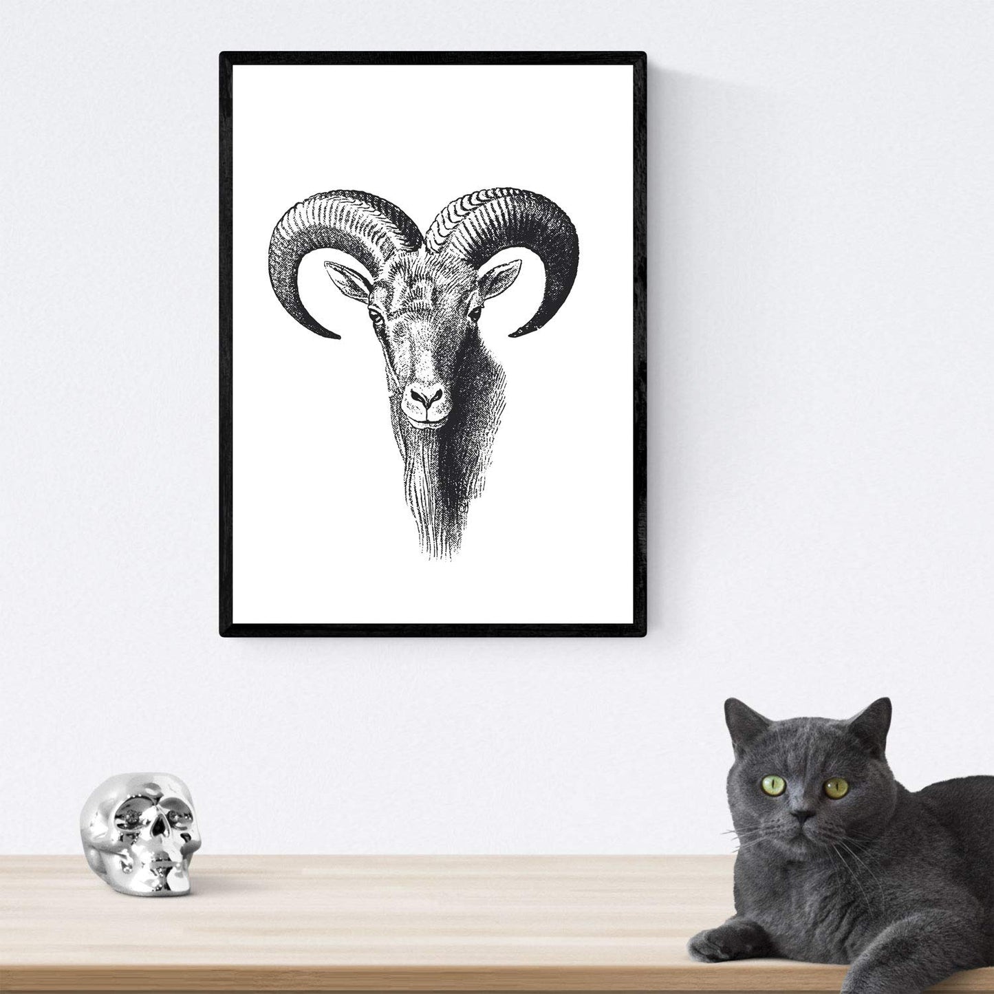 Lámina de Animales carneros, Cabra, ciervo. Vintage. Posters de animales.-Artwork-Nacnic-Nacnic Estudio SL