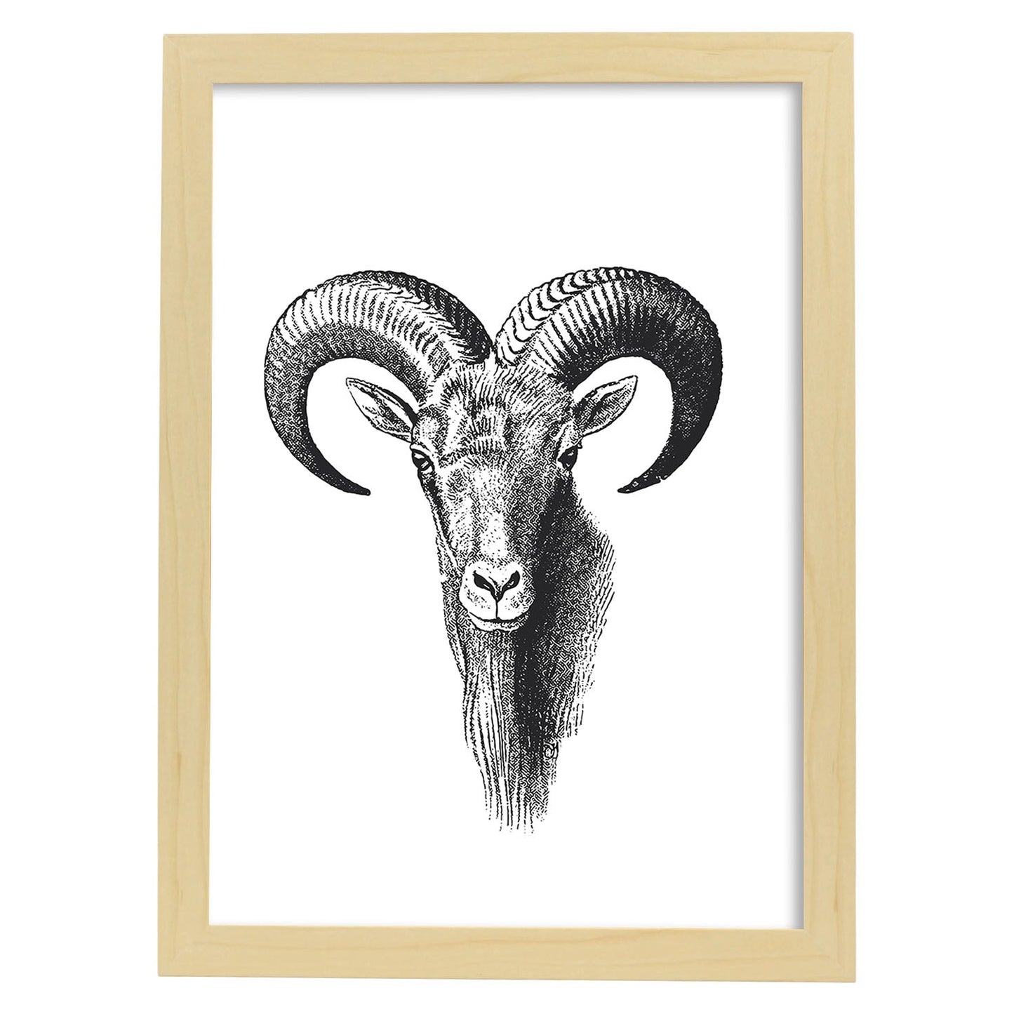 Lámina de Cabra montesa. Posters con animales en blanco y negro.-Artwork-Nacnic-A4-Marco Madera clara-Nacnic Estudio SL