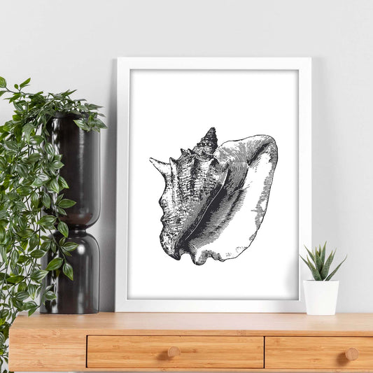 Lámina de Concha de mar. Posters con animales en blanco y negro.-Artwork-Nacnic-Nacnic Estudio SL