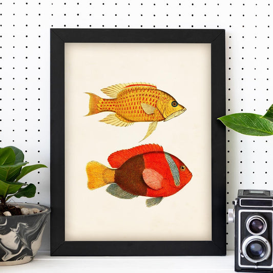 Lámina de dos peces amarillo, naranja y rojo en , fondo papel vintage.-Artwork-Nacnic-Nacnic Estudio SL