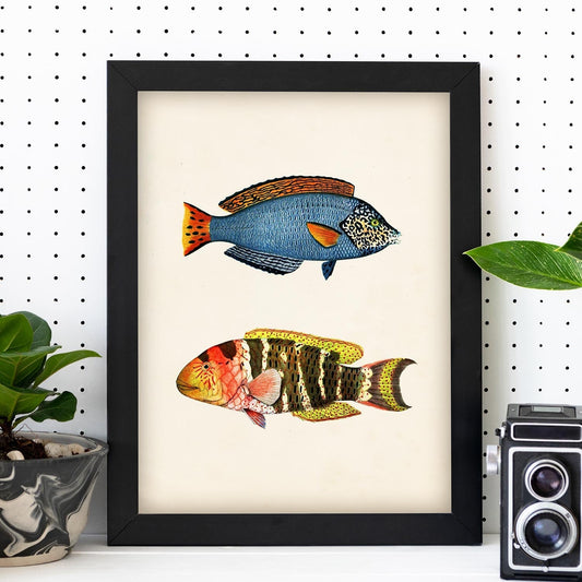 Lámina de dos peces azul, rojo, amarillo y naranja en , fondo papel vintage.-Artwork-Nacnic-Nacnic Estudio SL