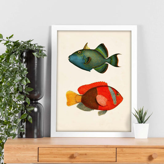 Lámina de dos peces verde azul y rojo amarillo y gris en , fondo papel vintage.-Artwork-Nacnic-Nacnic Estudio SL