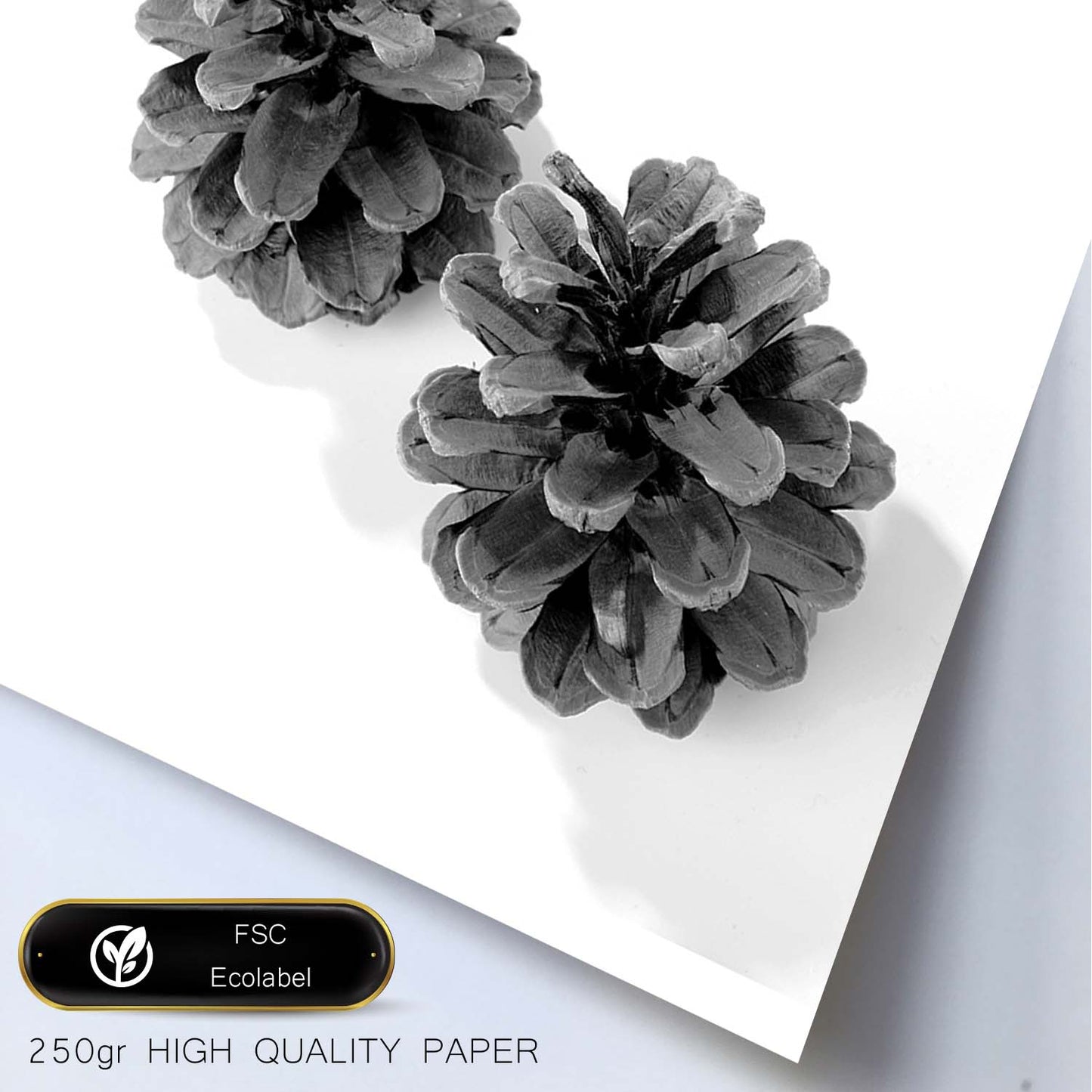 Lámina de dos piñas de pino en , en blanco y negro .-Artwork-Nacnic-Nacnic Estudio SL