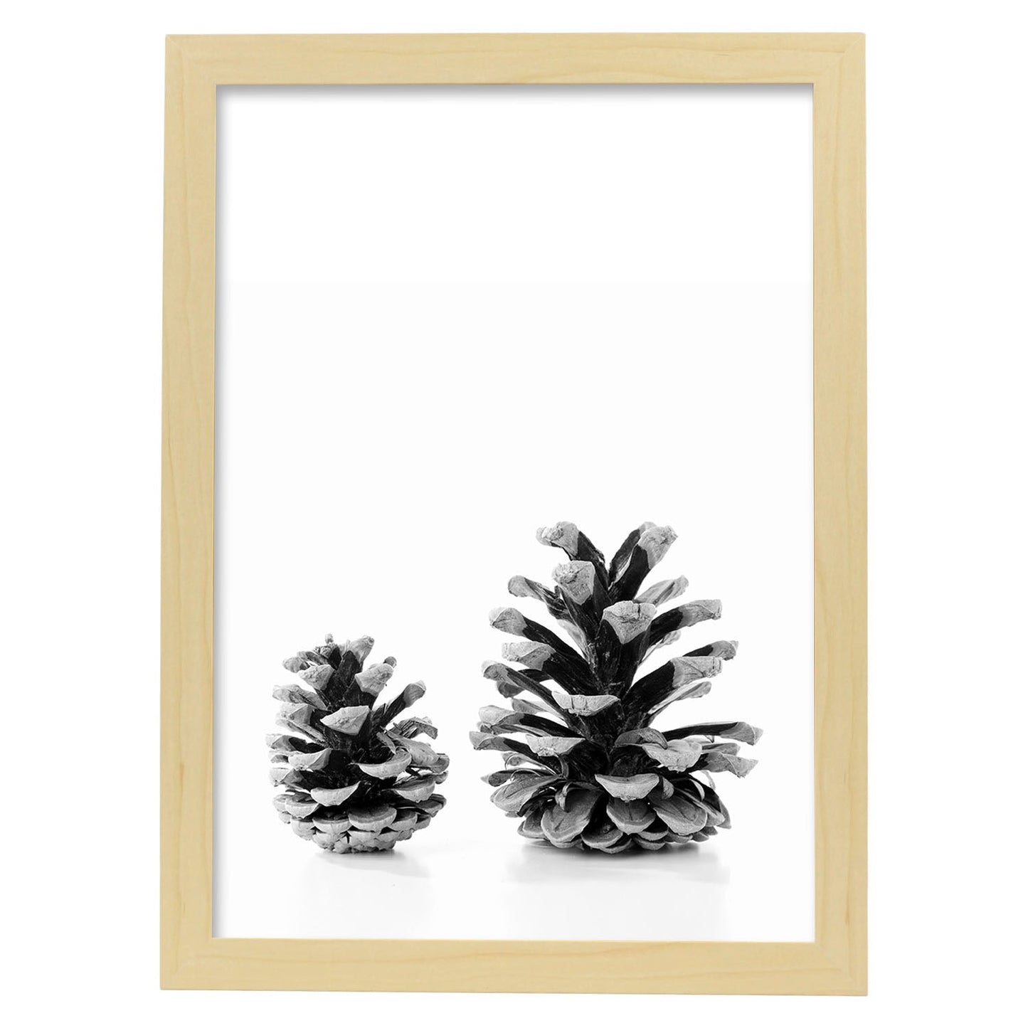 Lámina de dos piñas de pino frontal en , en blanco y negro.-Artwork-Nacnic-A4-Marco Madera clara-Nacnic Estudio SL