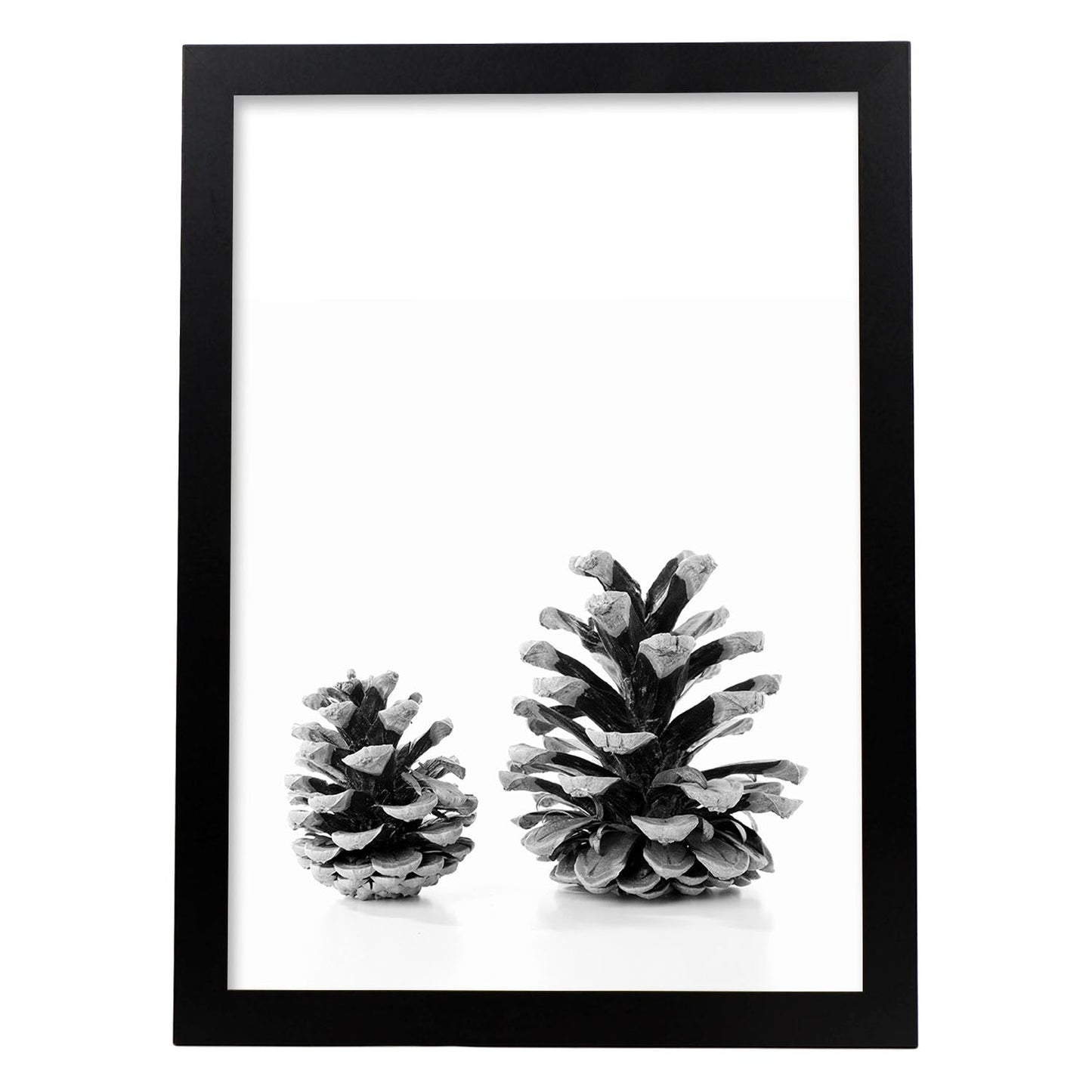 Lámina de dos piñas de pino frontal en , en blanco y negro.-Artwork-Nacnic-A4-Marco Negro-Nacnic Estudio SL