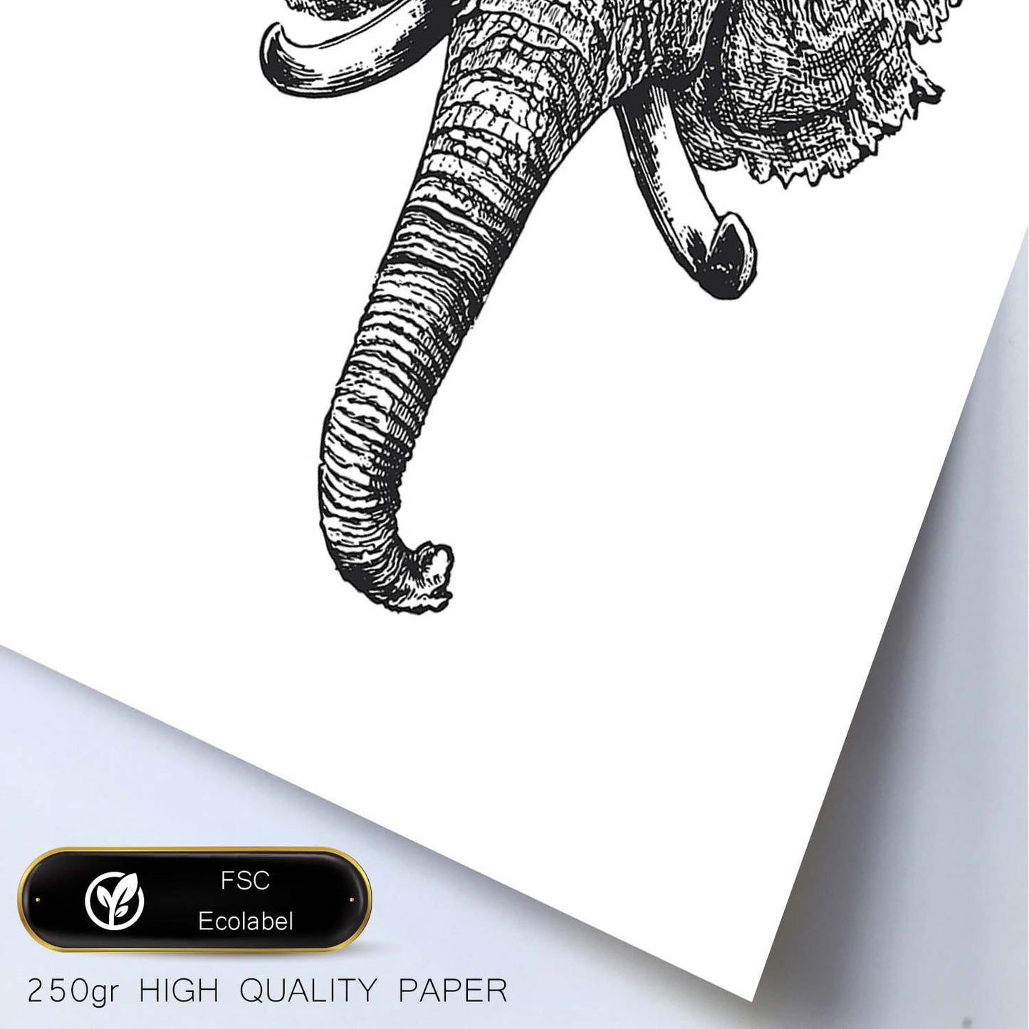 Lámina de Elefante frente. Posters con animales en blanco y negro.-Artwork-Nacnic-Nacnic Estudio SL