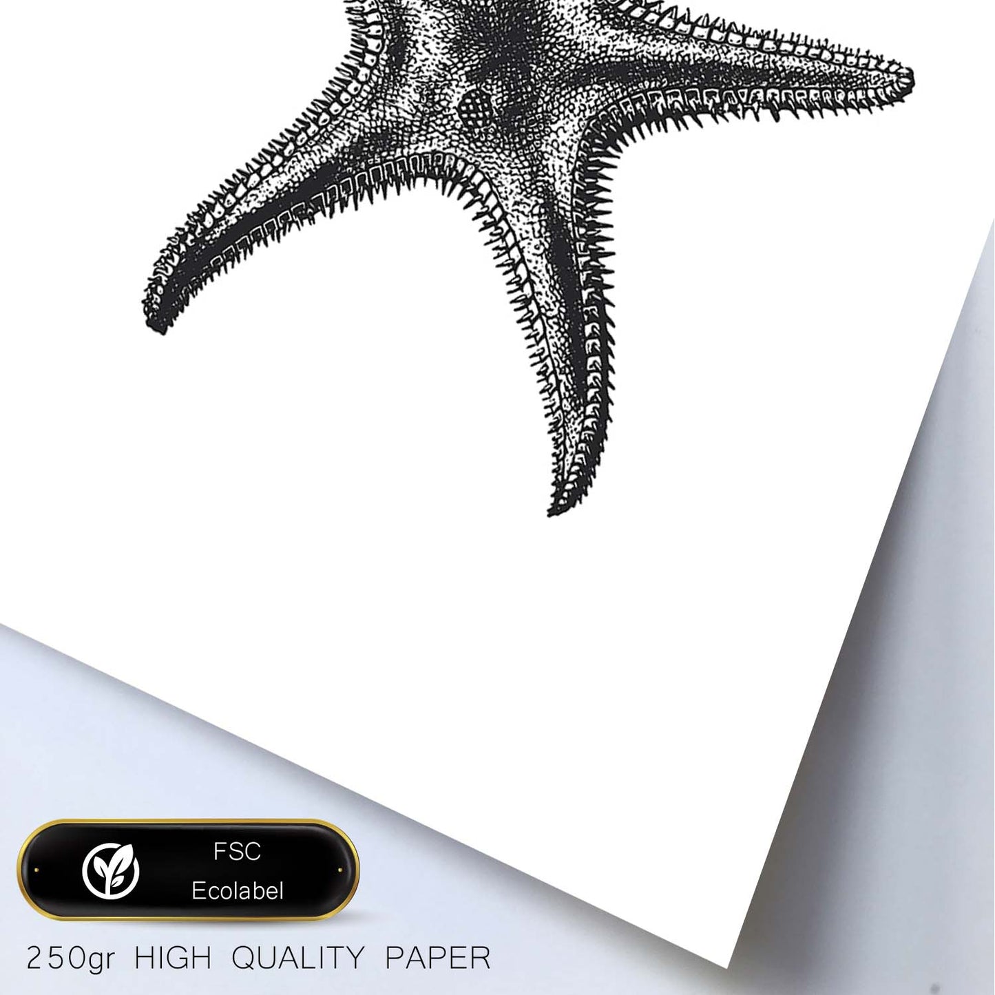 Lámina de Estrella de mar. Posters con animales en blanco y negro.-Artwork-Nacnic-Nacnic Estudio SL