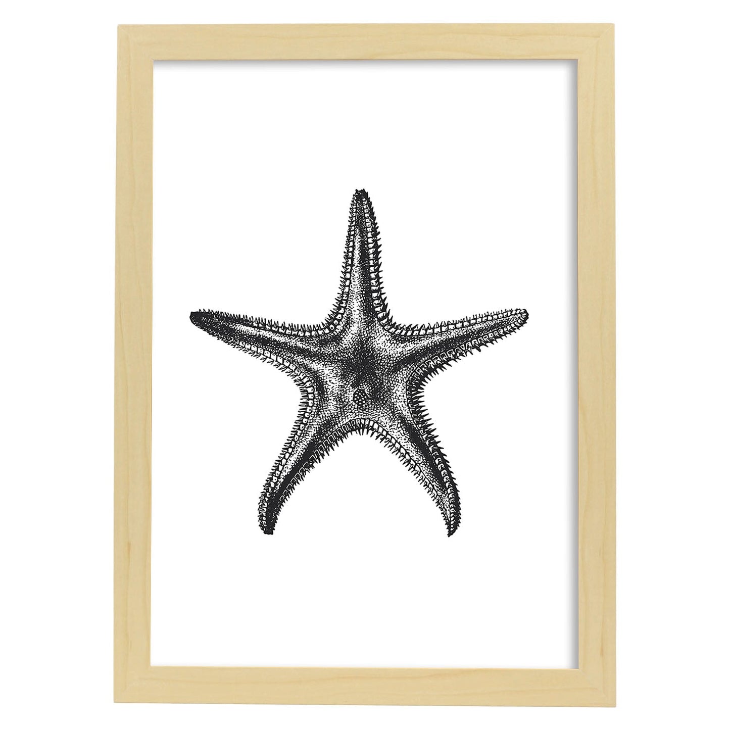 Lámina de Estrella de mar. Posters con animales en blanco y negro.-Artwork-Nacnic-A3-Marco Madera clara-Nacnic Estudio SL