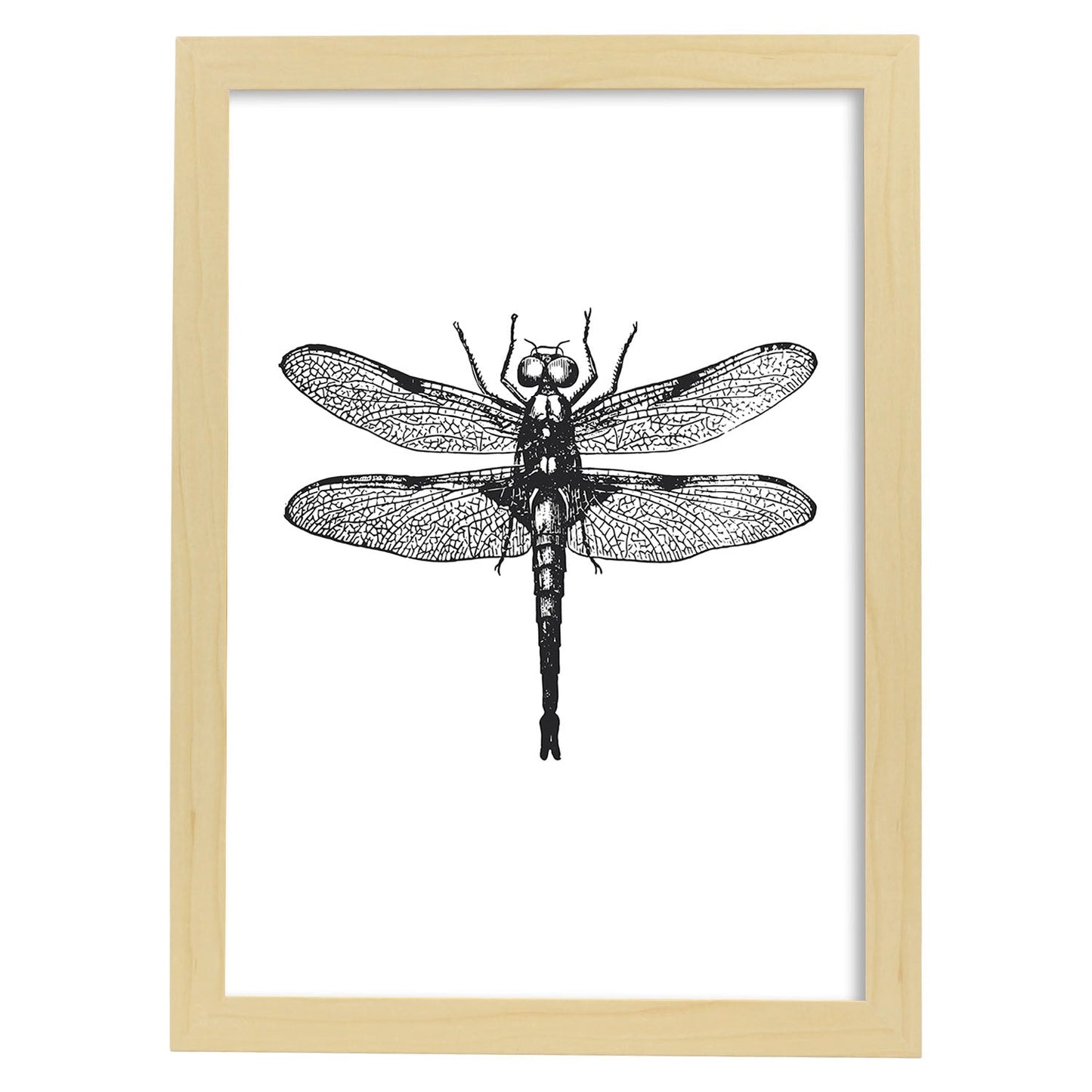 Lámina de Libelula. Posters con animales en blanco y negro.-Artwork-Nacnic-A3-Marco Madera clara-Nacnic Estudio SL