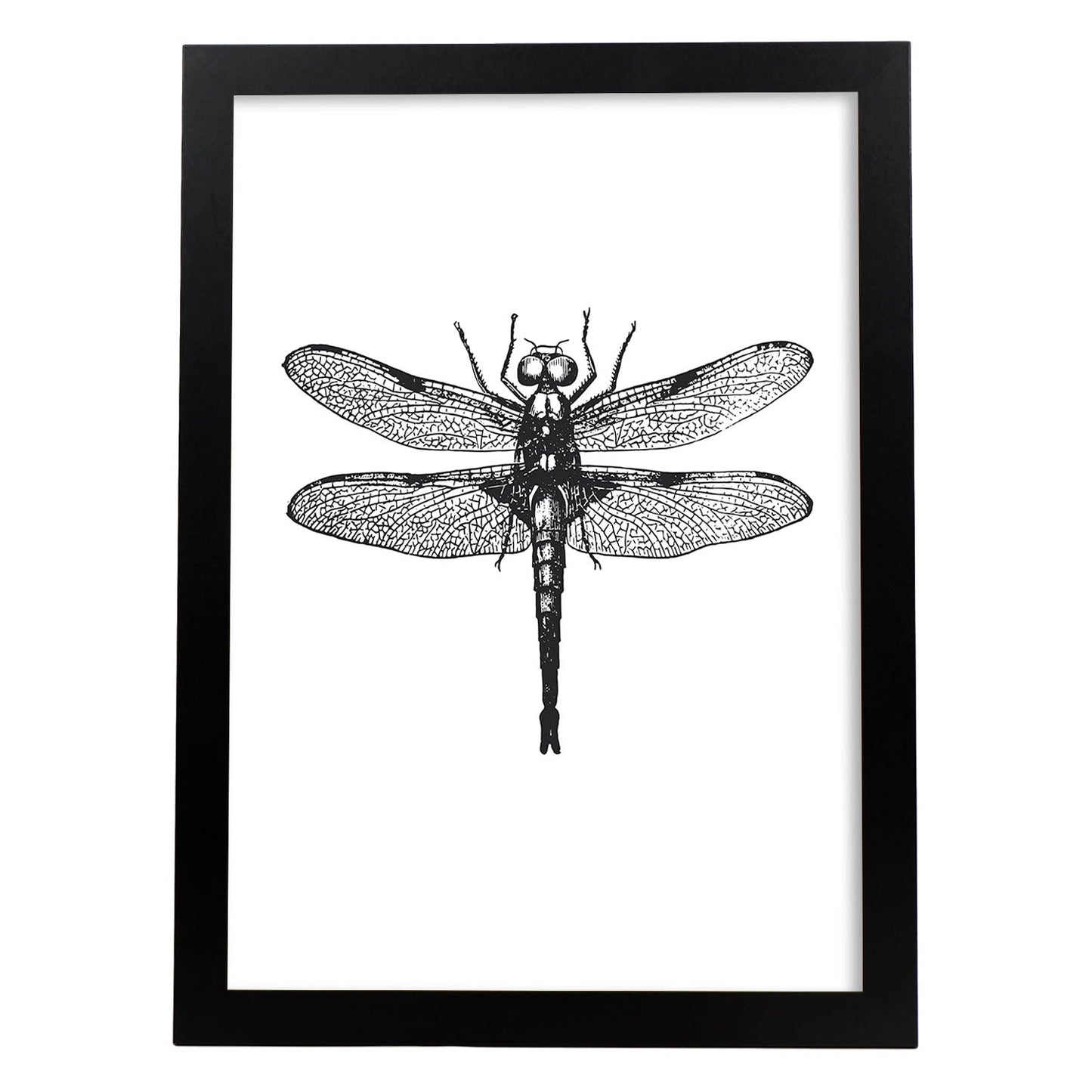 Lámina de Libelula. Posters con animales en blanco y negro.-Artwork-Nacnic-A3-Marco Negro-Nacnic Estudio SL
