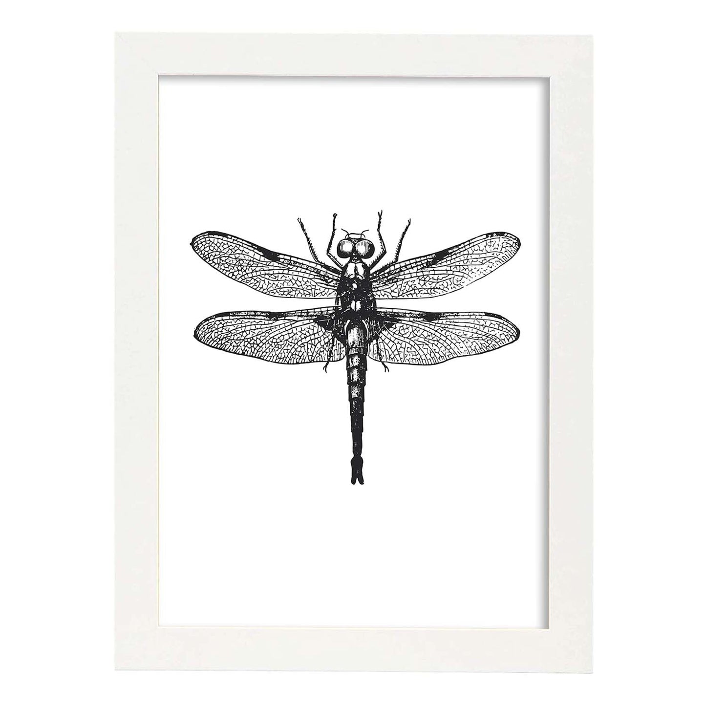 Lámina de Libelula. Posters con animales en blanco y negro.-Artwork-Nacnic-A4-Marco Blanco-Nacnic Estudio SL
