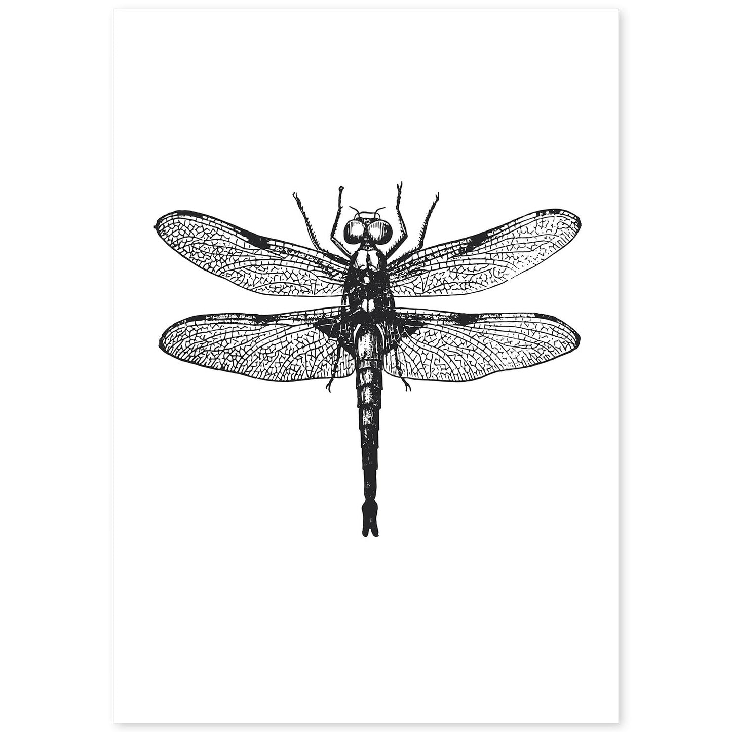 Lámina de Libelula. Posters con animales en blanco y negro.-Artwork-Nacnic-A4-Sin marco-Nacnic Estudio SL