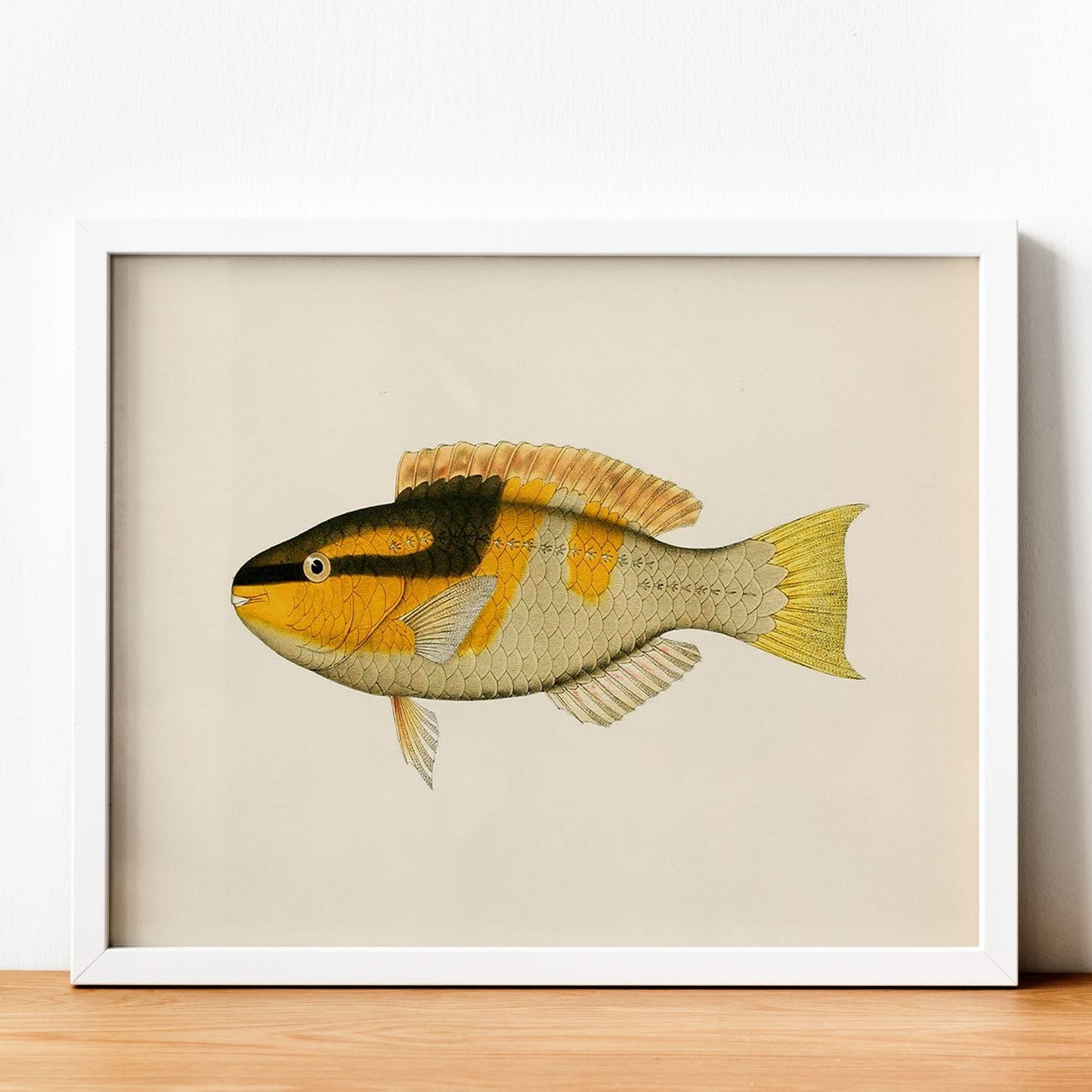 Lámina de pez amarillo, negro y naranja en , fondo papel vintage.-Artwork-Nacnic-Nacnic Estudio SL