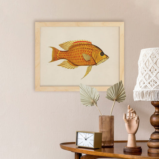 Lámina de pez amarillo, rojo y naranja en , fondo papel vintage.-Artwork-Nacnic-Nacnic Estudio SL