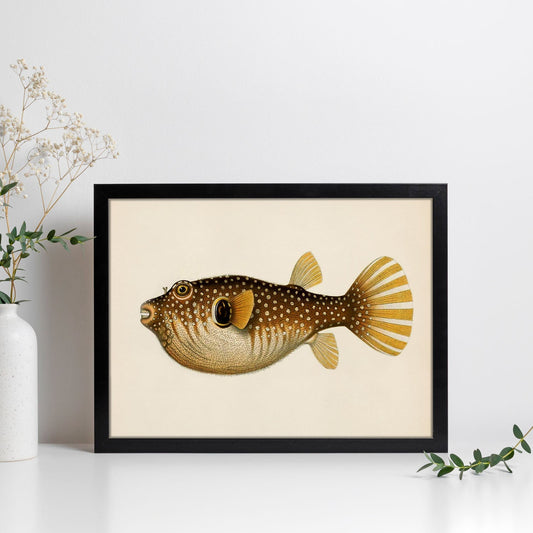Lámina de pez marron, amarillo en , fondo papel vintage.-Artwork-Nacnic-Nacnic Estudio SL