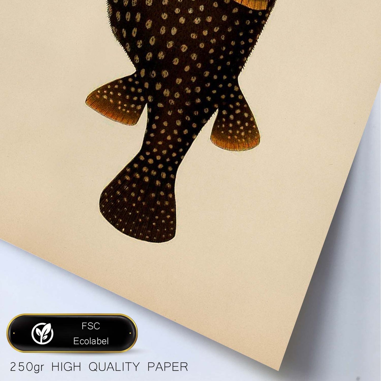 Lámina de pez Marron y Amarillo en , Fondo Papel Vintage Poster Papel 250 gr Marco-Artwork-Nacnic-Nacnic Estudio SL