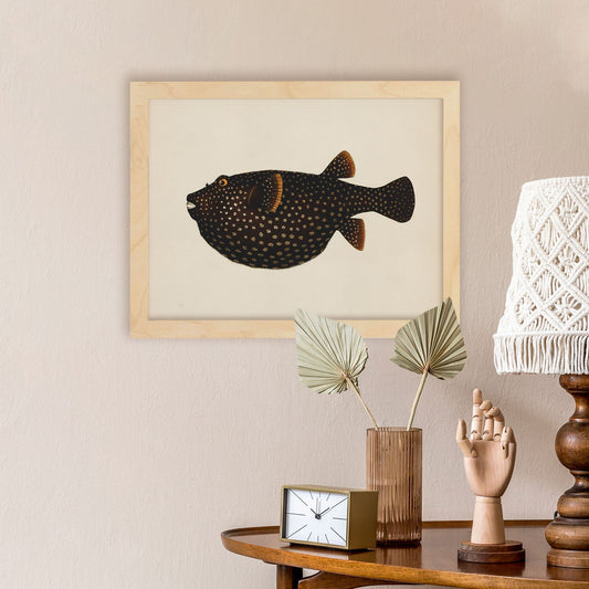 Lámina de pez Marron y Amarillo en , Fondo Papel Vintage Poster Papel 250 gr Marco-Artwork-Nacnic-Nacnic Estudio SL
