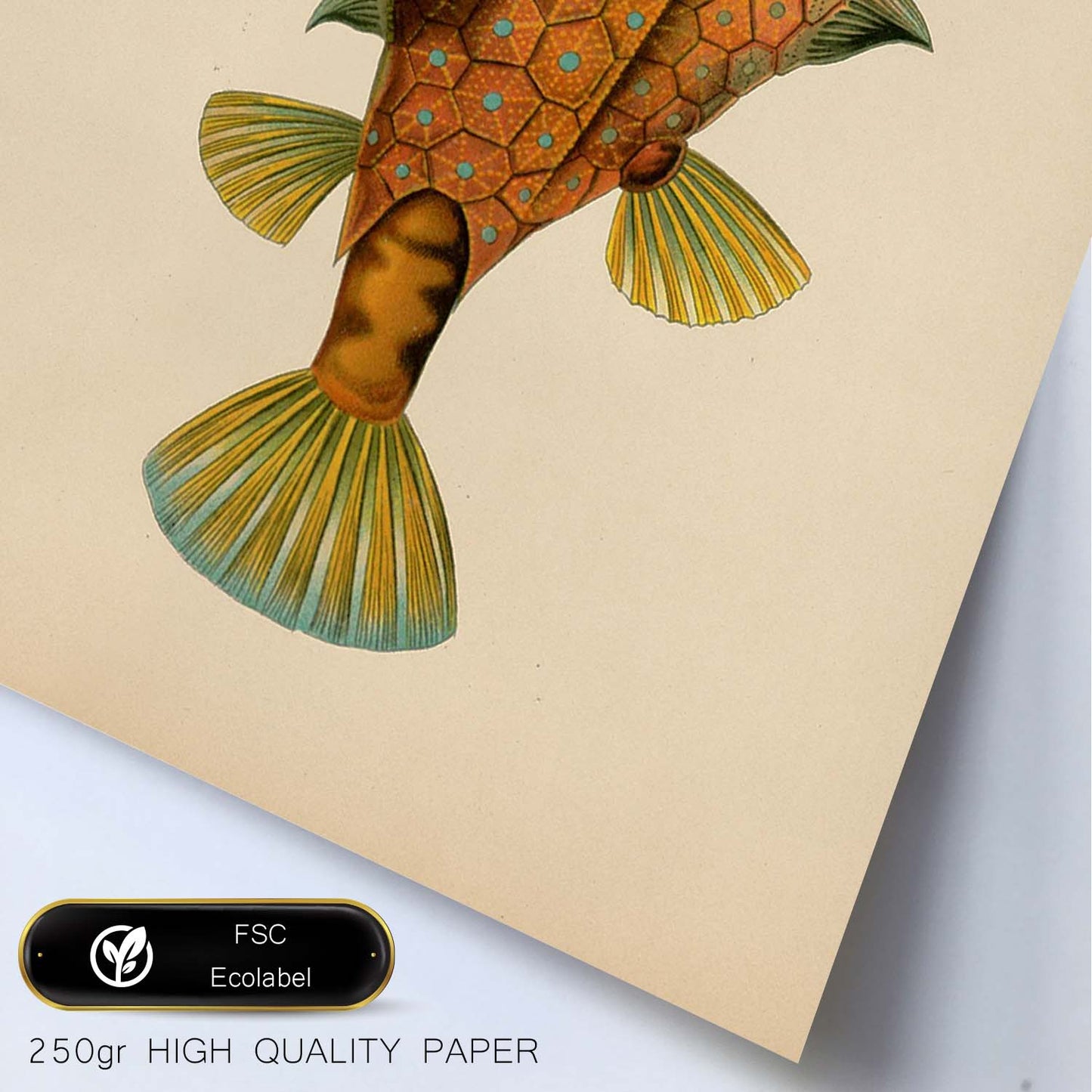 Lámina de Pez pincho naranja, verde y amarillo en , fondo papel vintage.-Artwork-Nacnic-Nacnic Estudio SL
