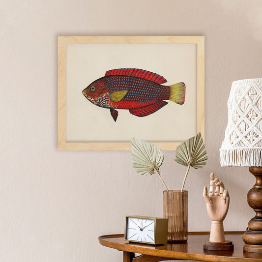 Lámina de pez rojo, amarillo y marron en , fondo papel vintage.-Artwork-Nacnic-Nacnic Estudio SL