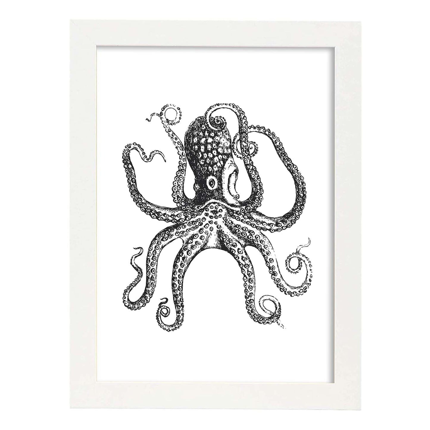 Lámina de Pulpo. Posters con animales en blanco y negro.-Artwork-Nacnic-A4-Marco Blanco-Nacnic Estudio SL