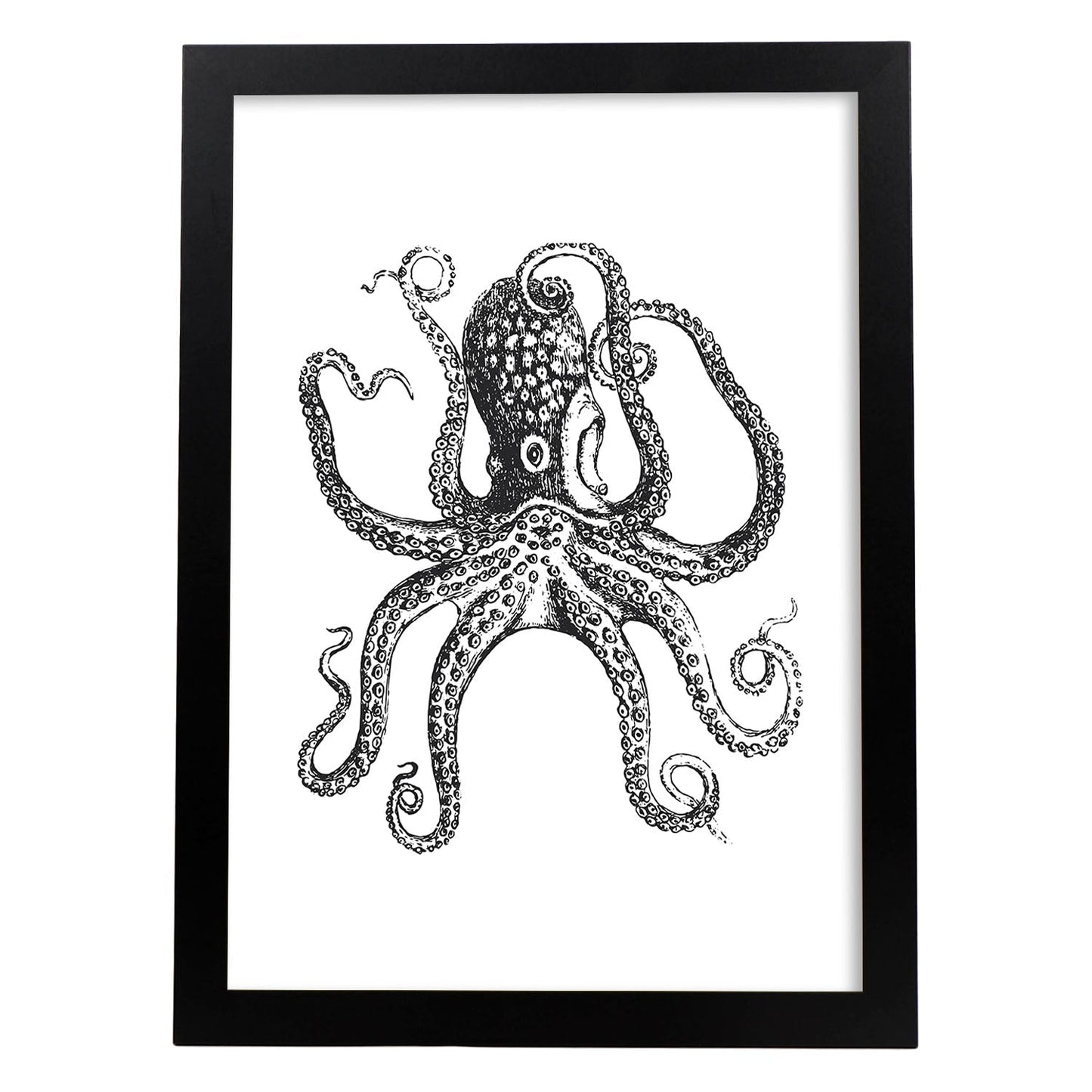 Lámina de Pulpo. Posters con animales en blanco y negro.-Artwork-Nacnic-A4-Marco Negro-Nacnic Estudio SL